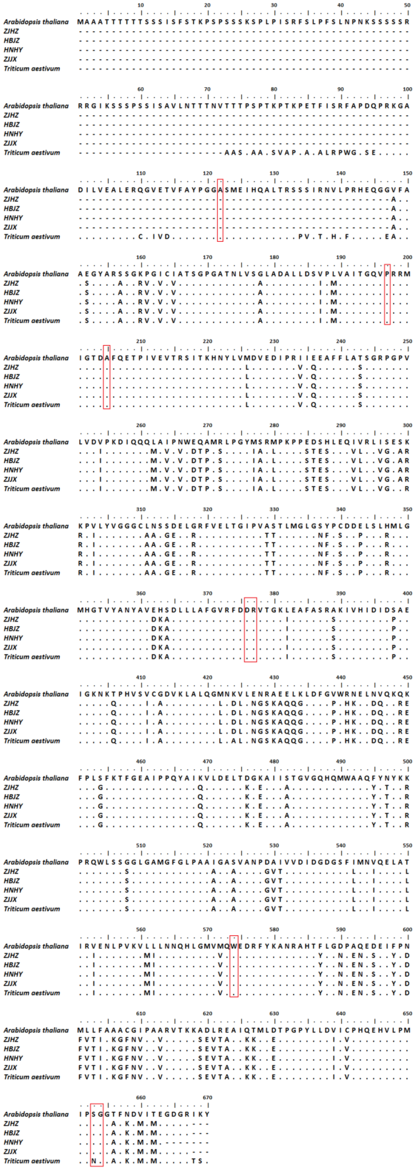 Plants 10 01823 g003