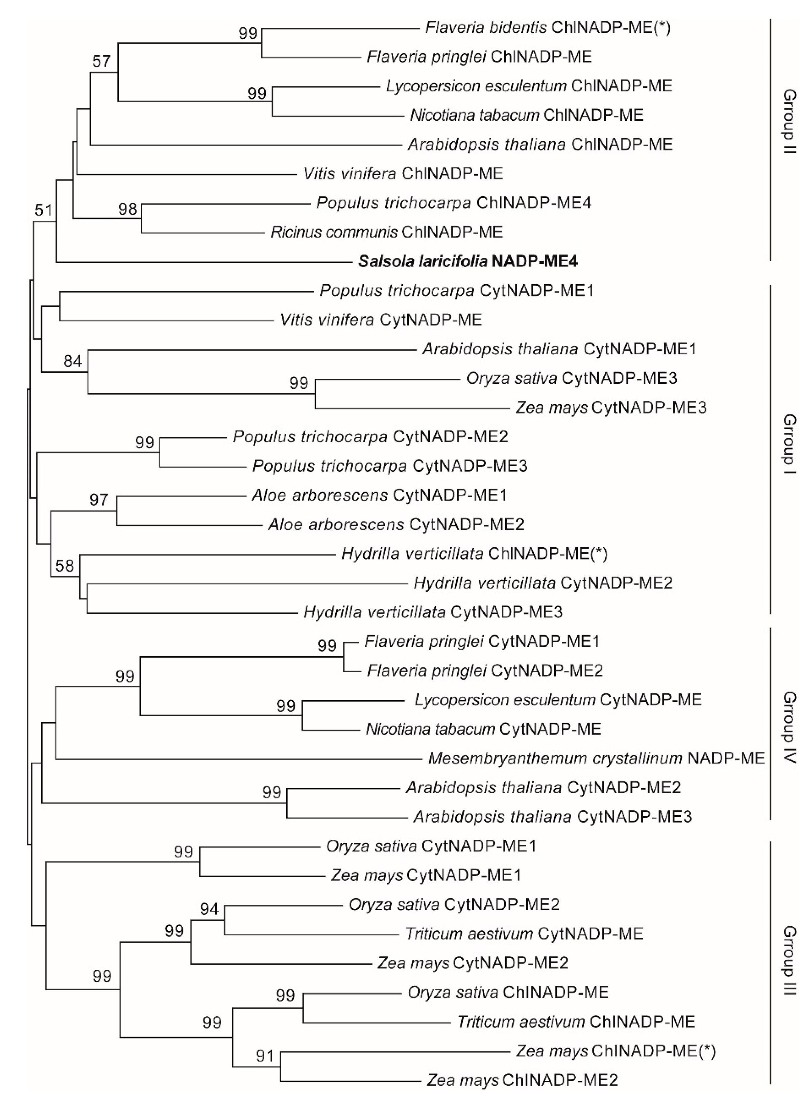 Plants 10 01827 g001
