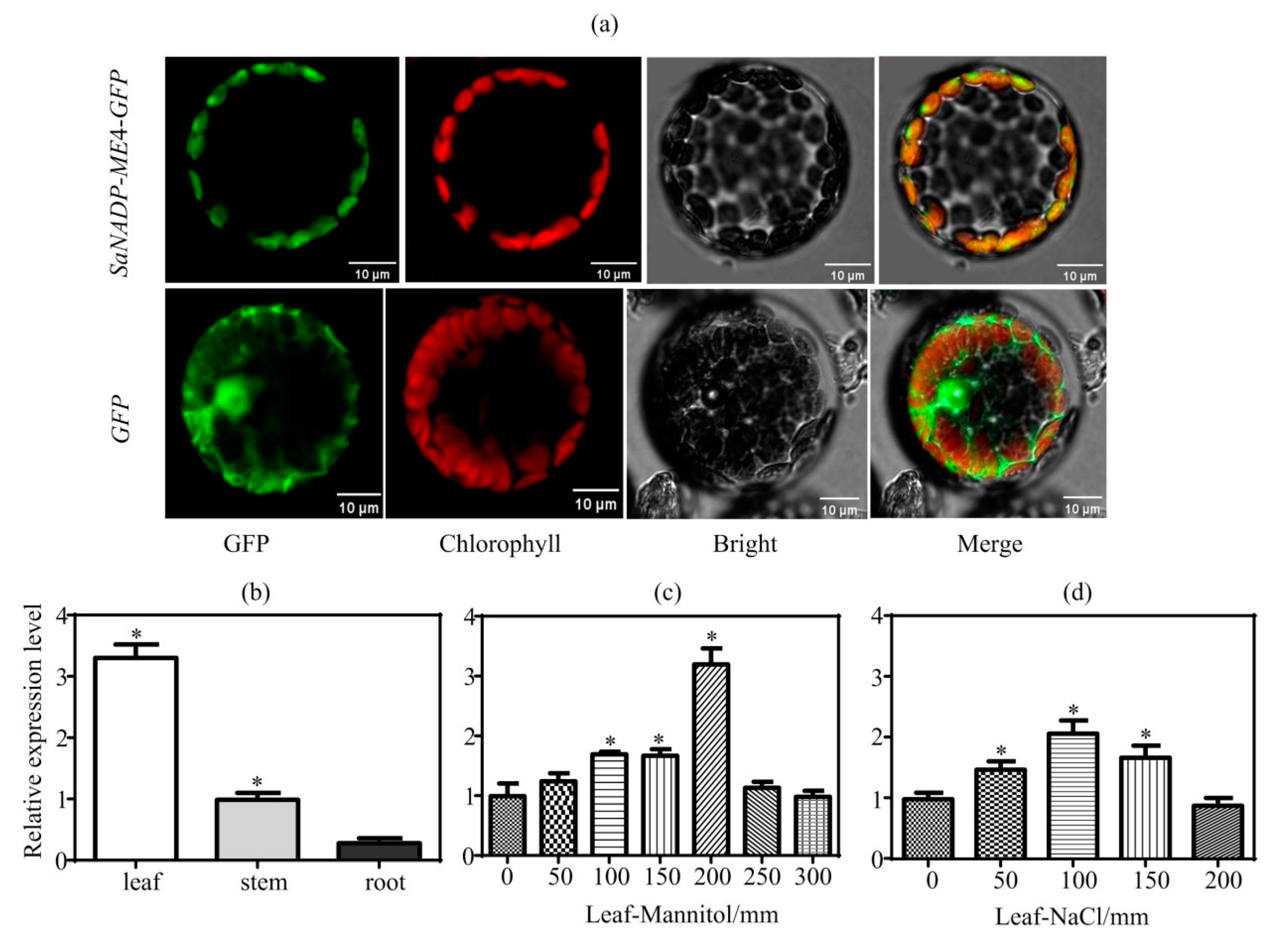 Plants 10 01827 g002