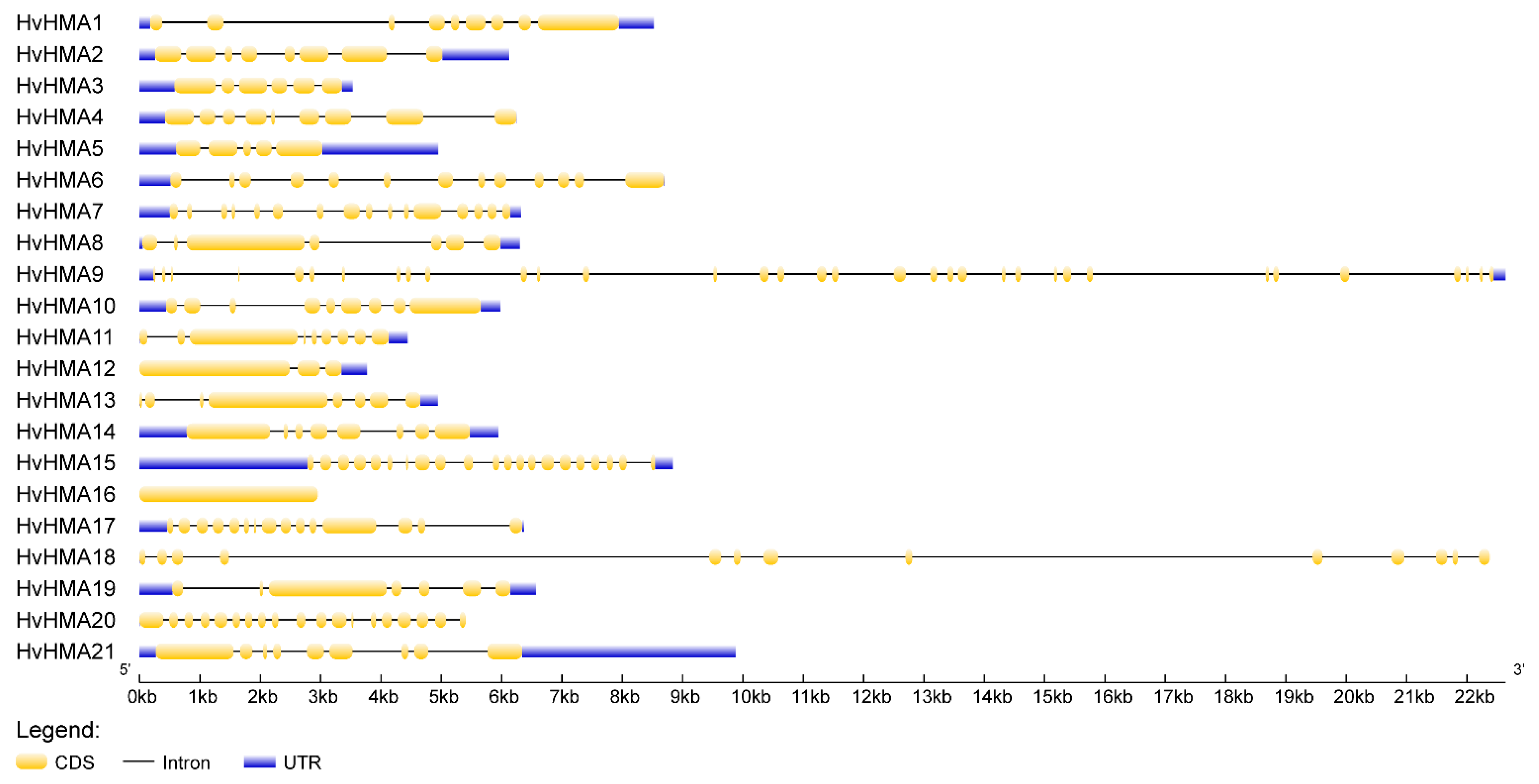 Plants 10 01849 g004