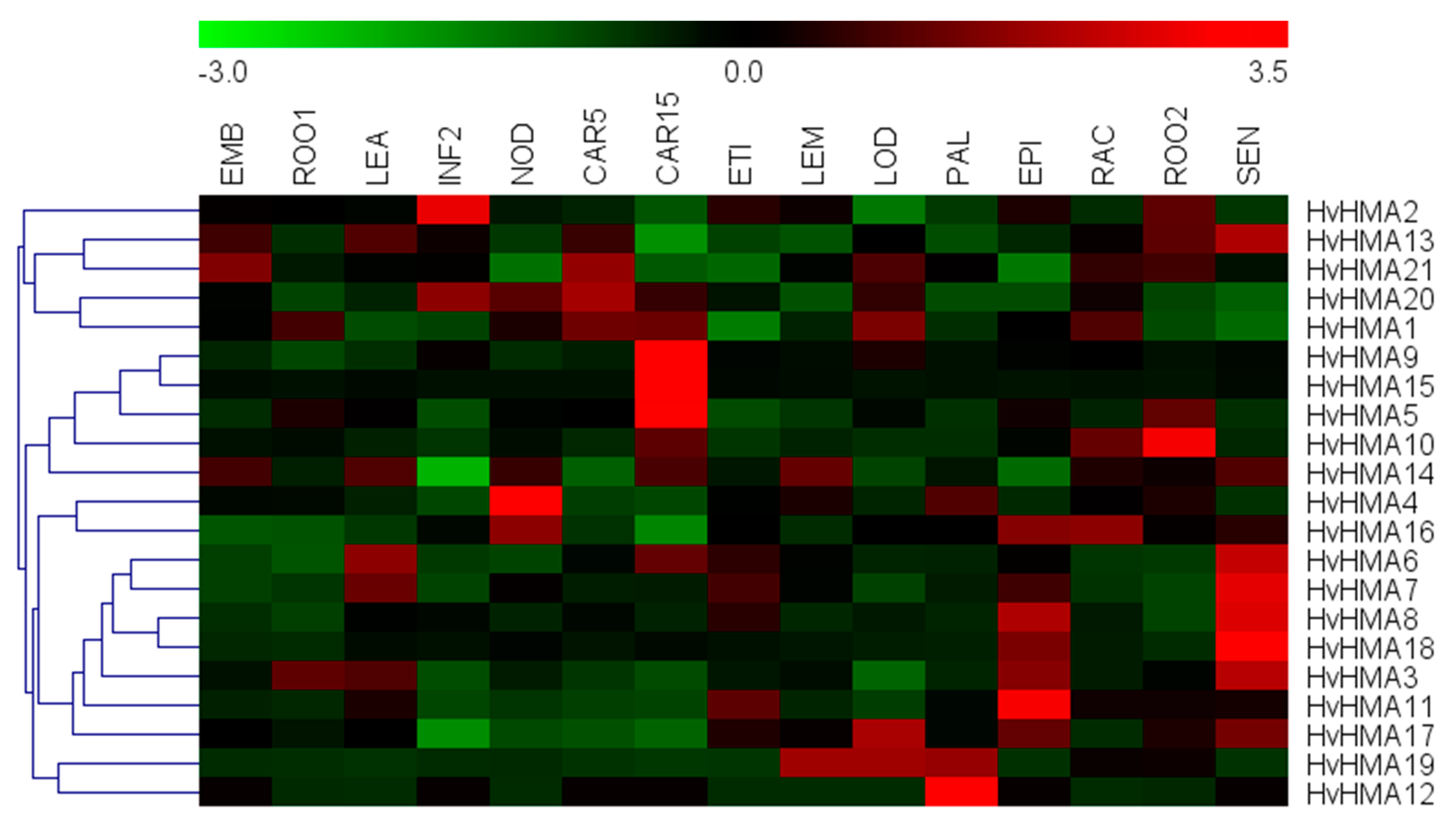 Plants 10 01849 g005