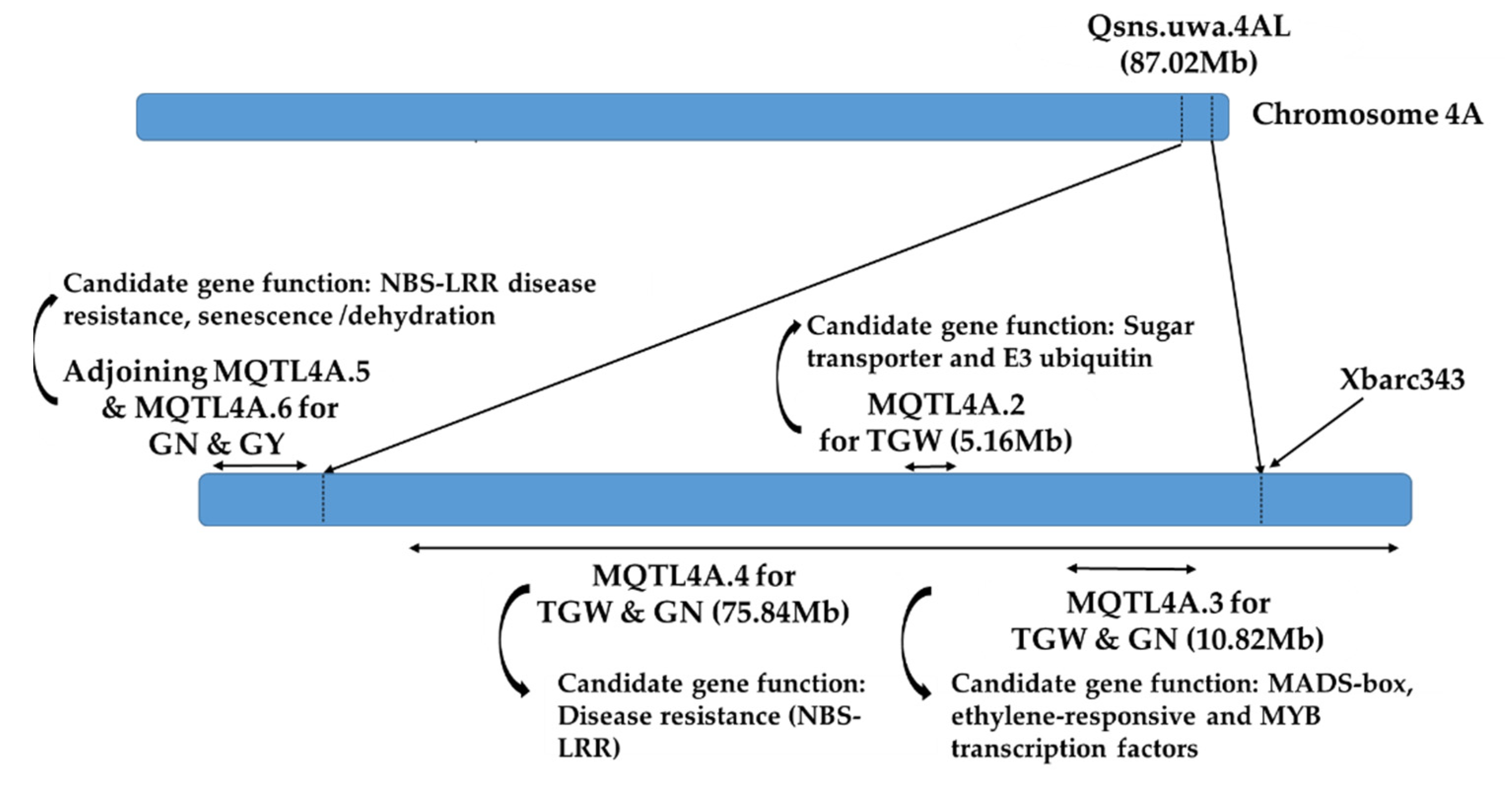 Plants 10 01856 g004