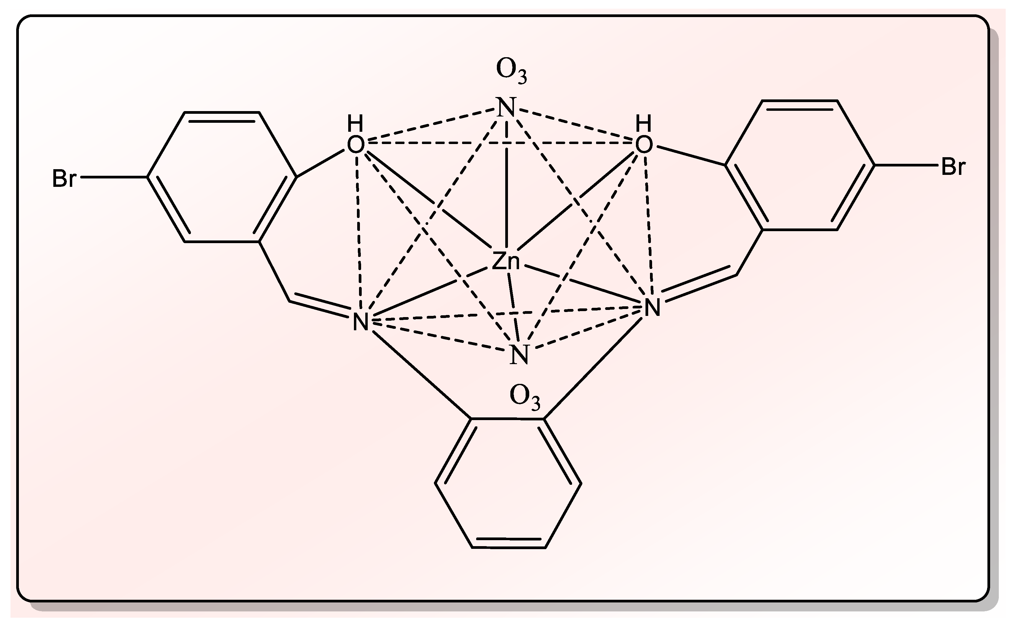 Plants 10 01858 g004