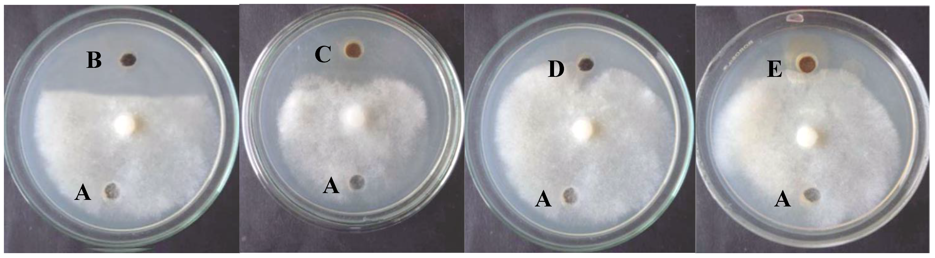 Plants 10 01858 g006