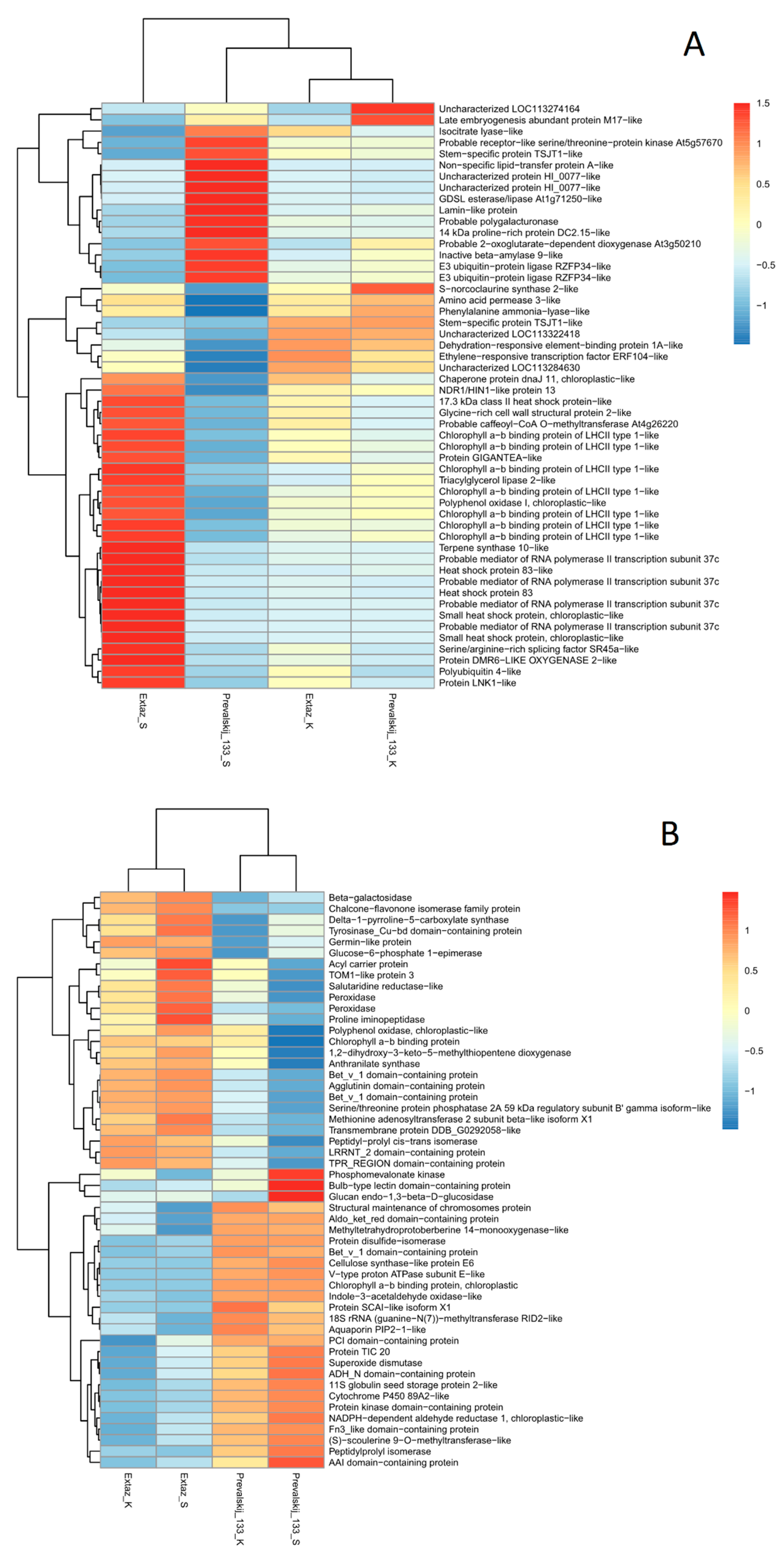 Plants 10 01878 g001