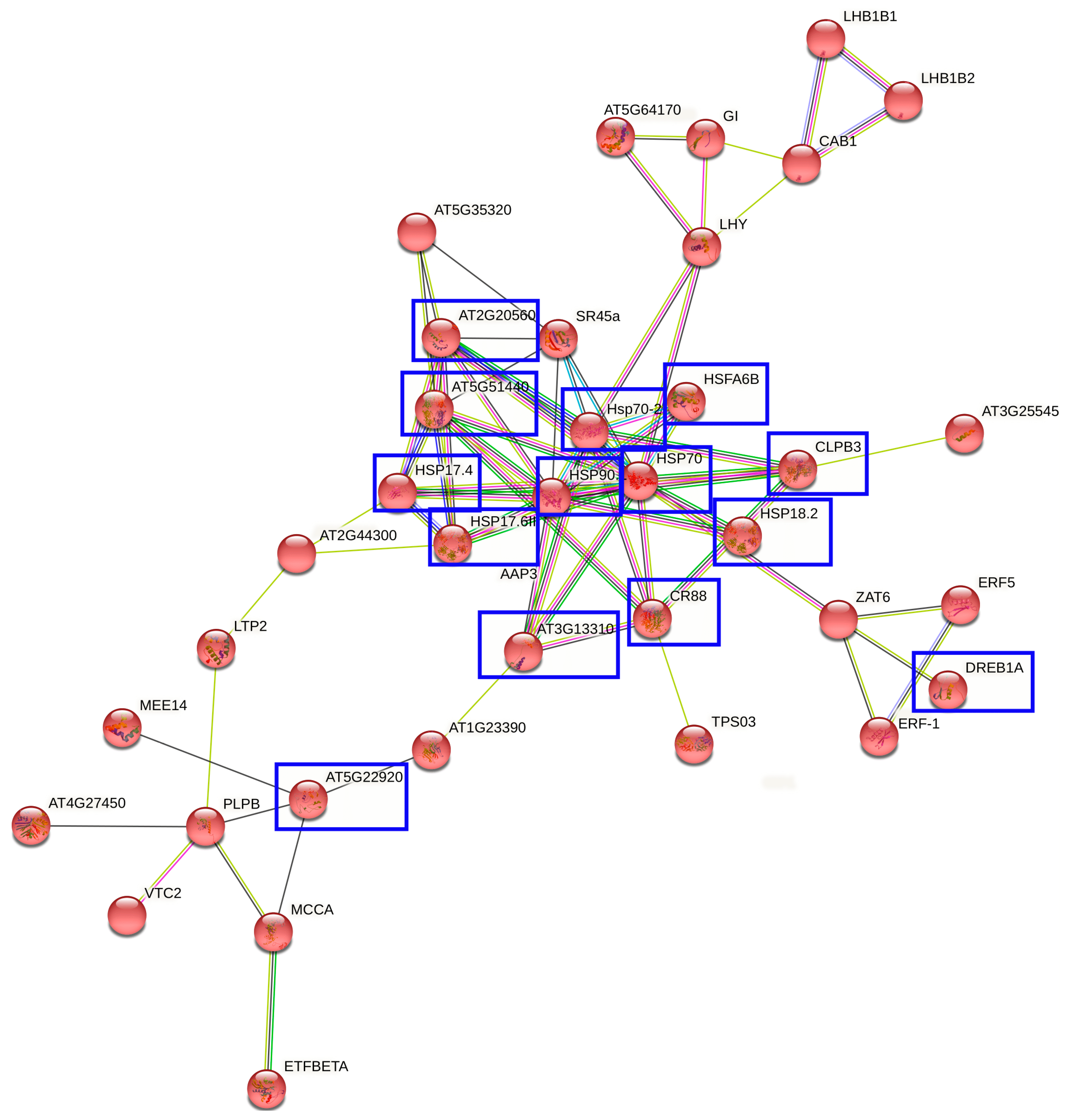 Plants 10 01878 g002