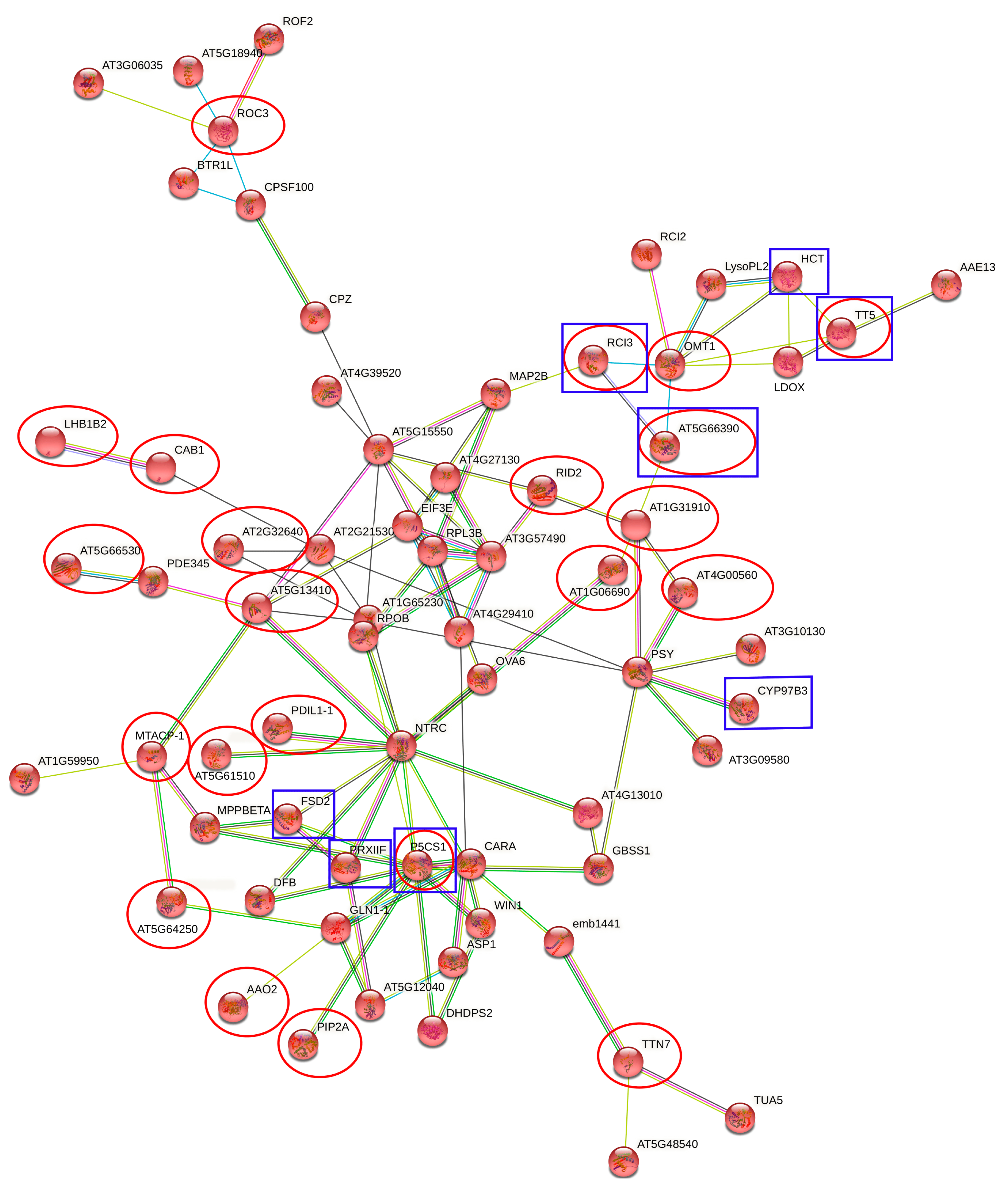 Plants 10 01878 g003