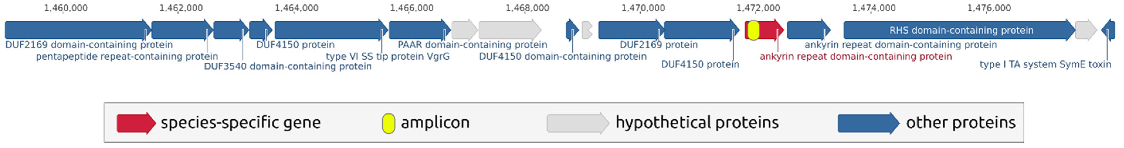 Plants 10 01880 g002 Plants 10 01880 g002