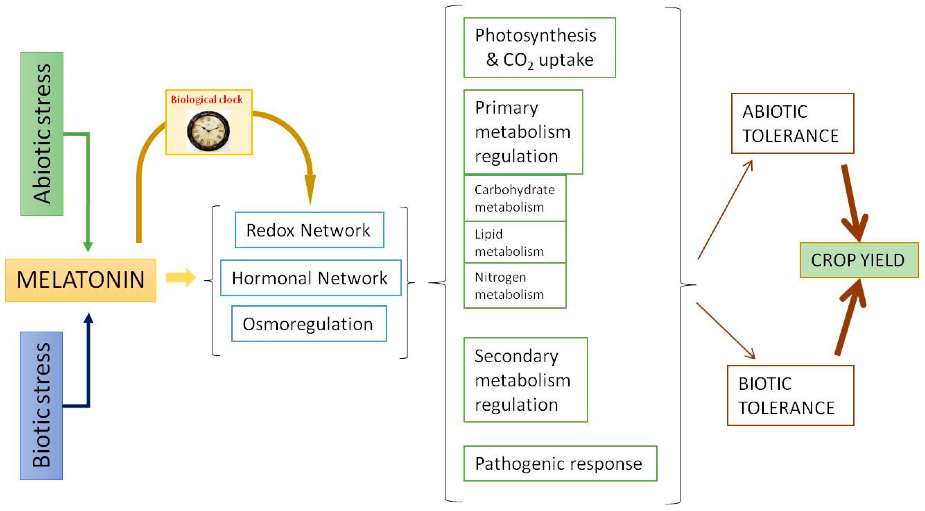 Plants 10 01917 g002