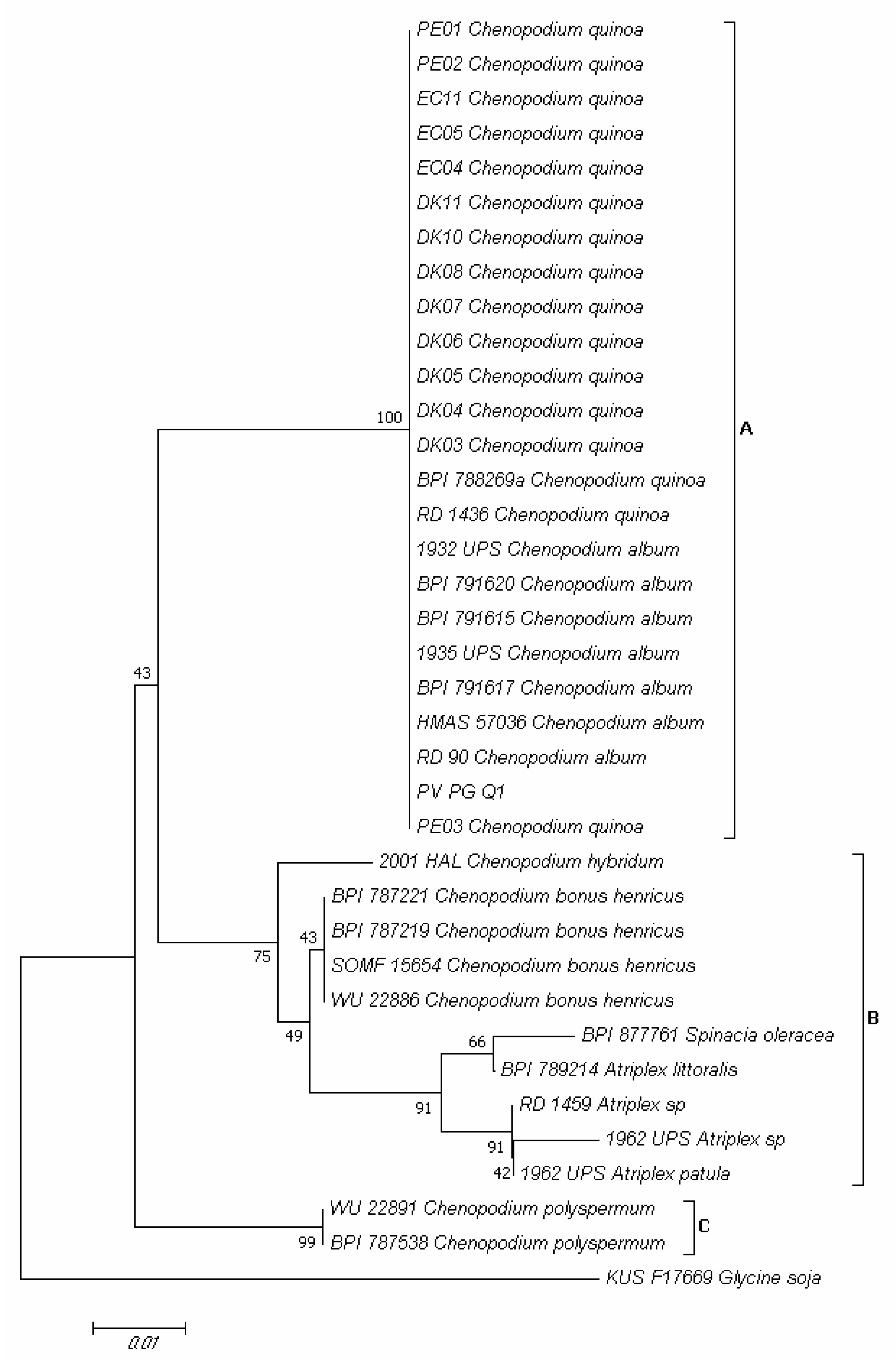 Plants 10 01933 g009