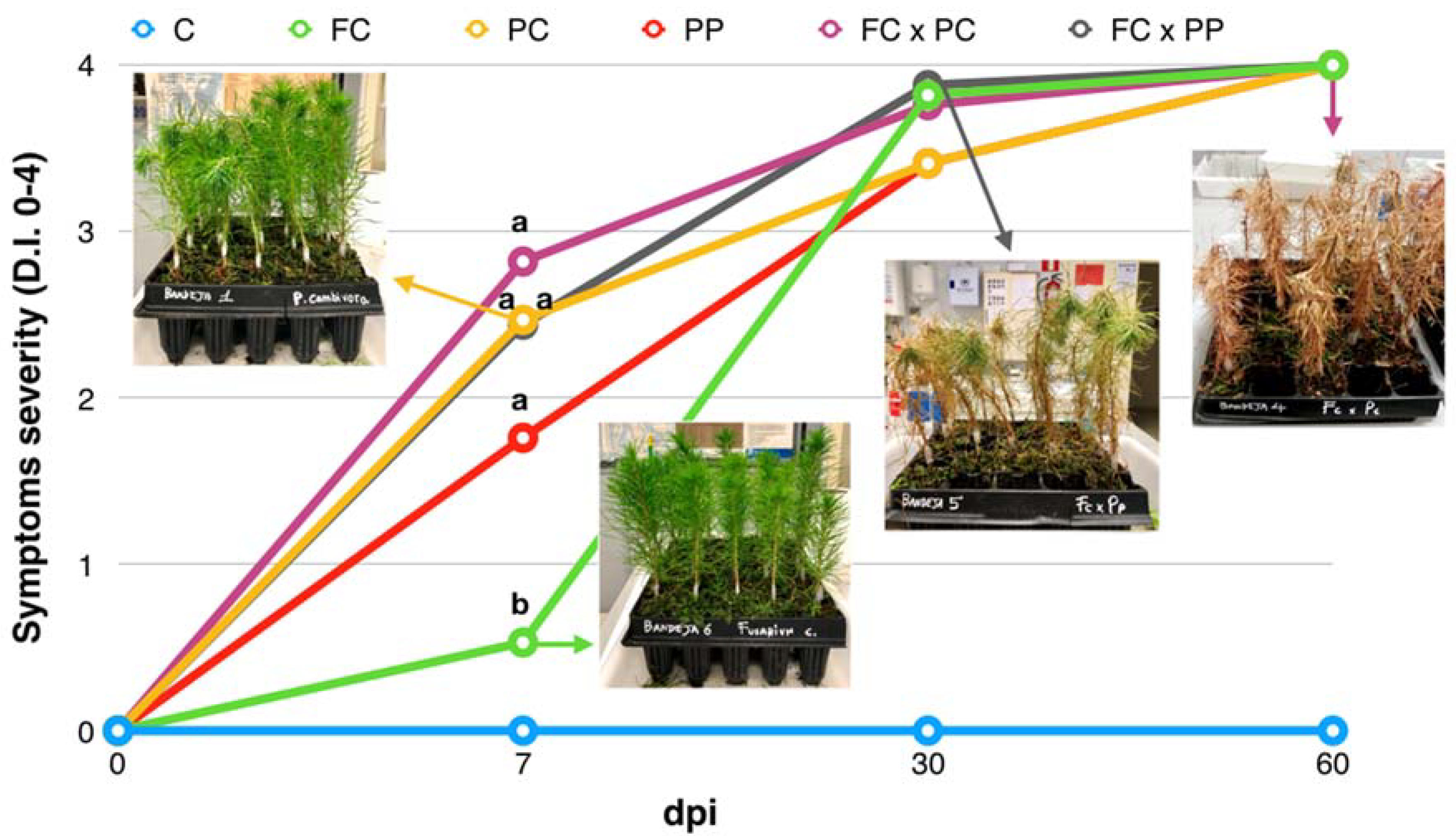 Plants 10 01976 g001