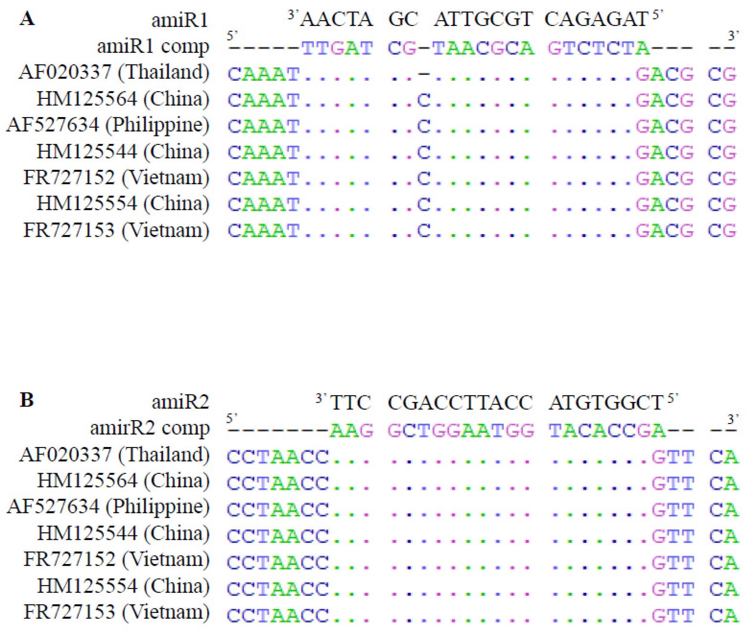 Plants 10 02008 g002