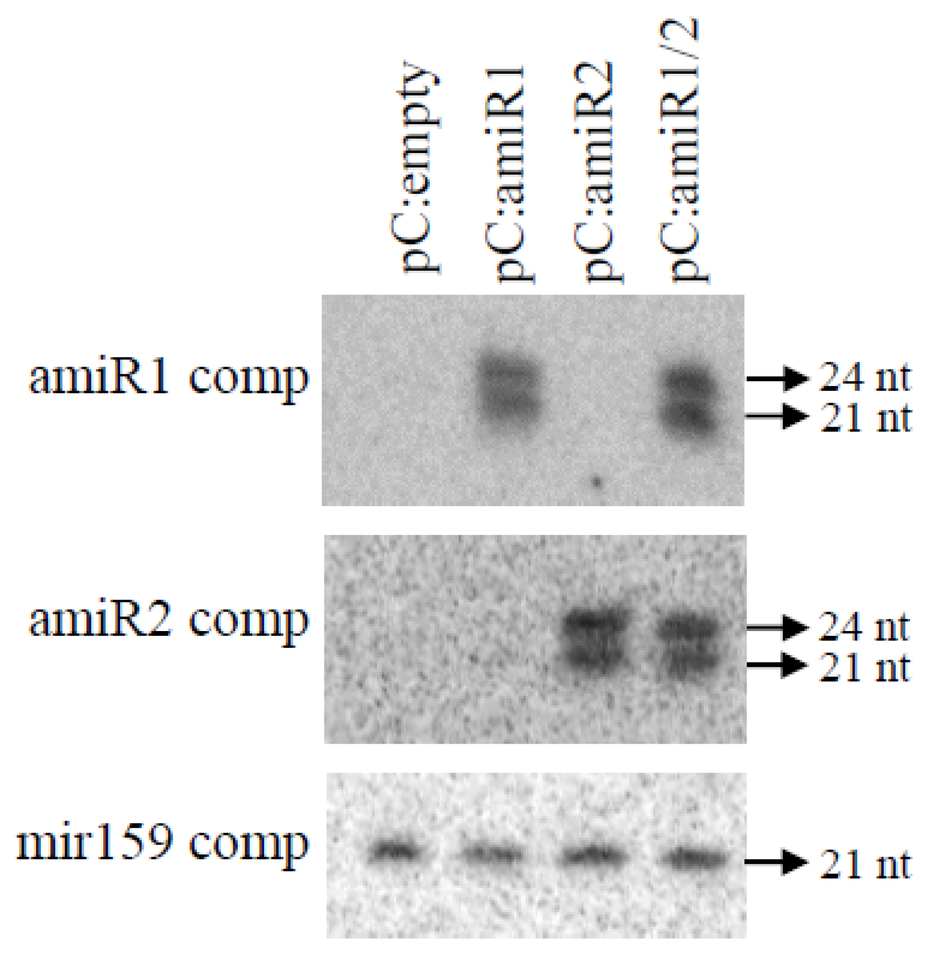 Plants 10 02008 g003