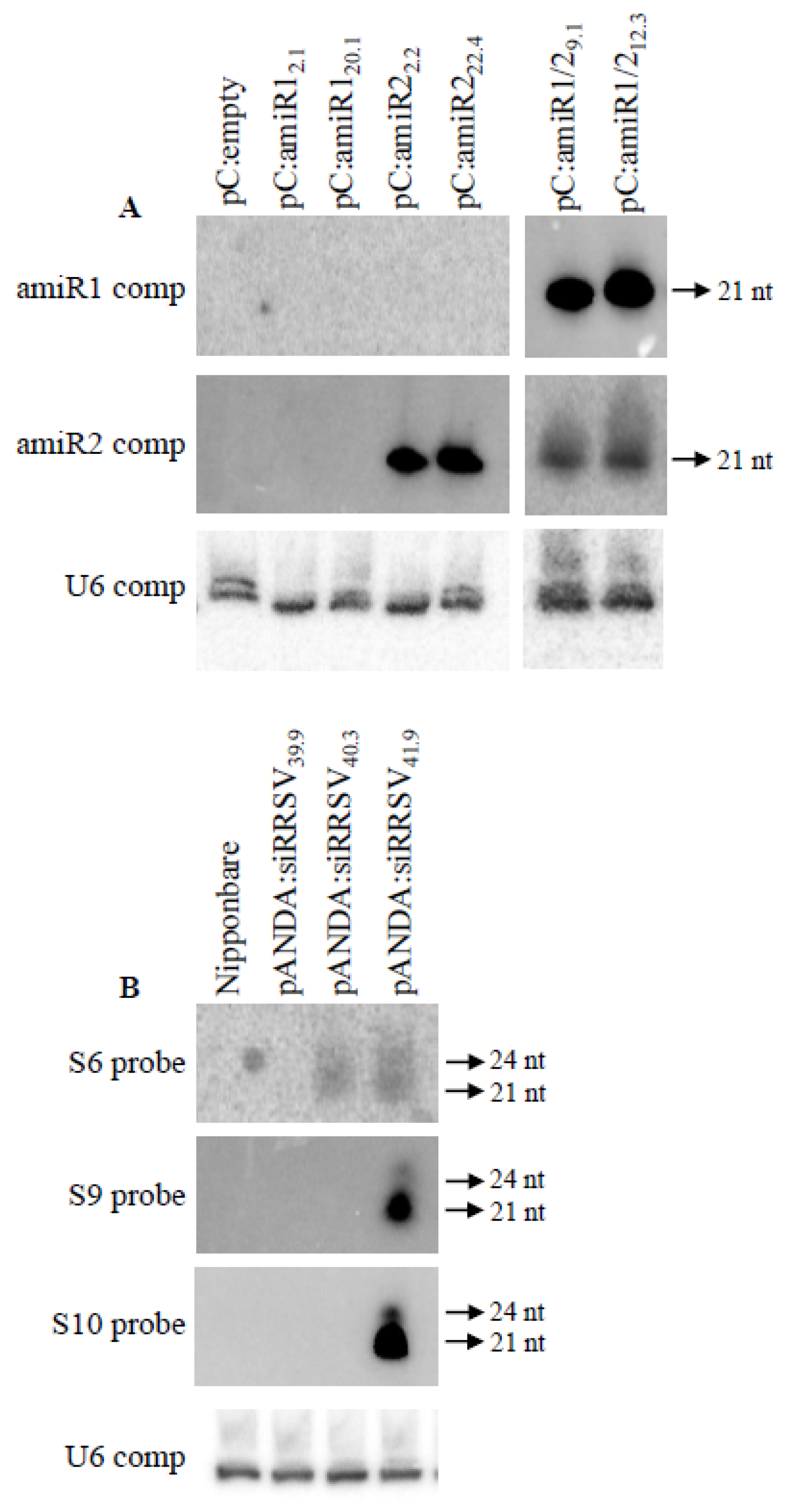 Plants 10 02008 g005