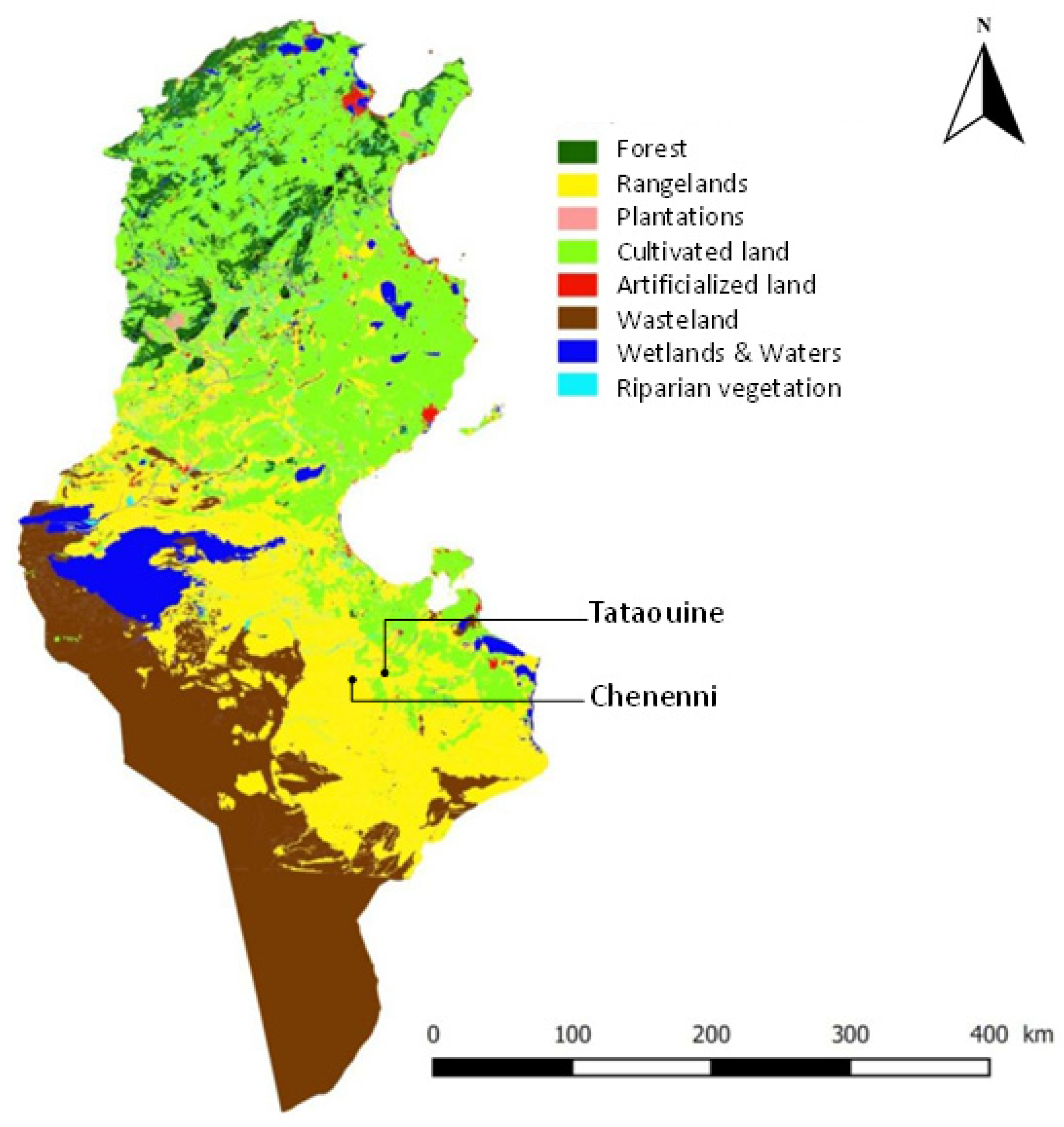 Plants 10 02031 g008