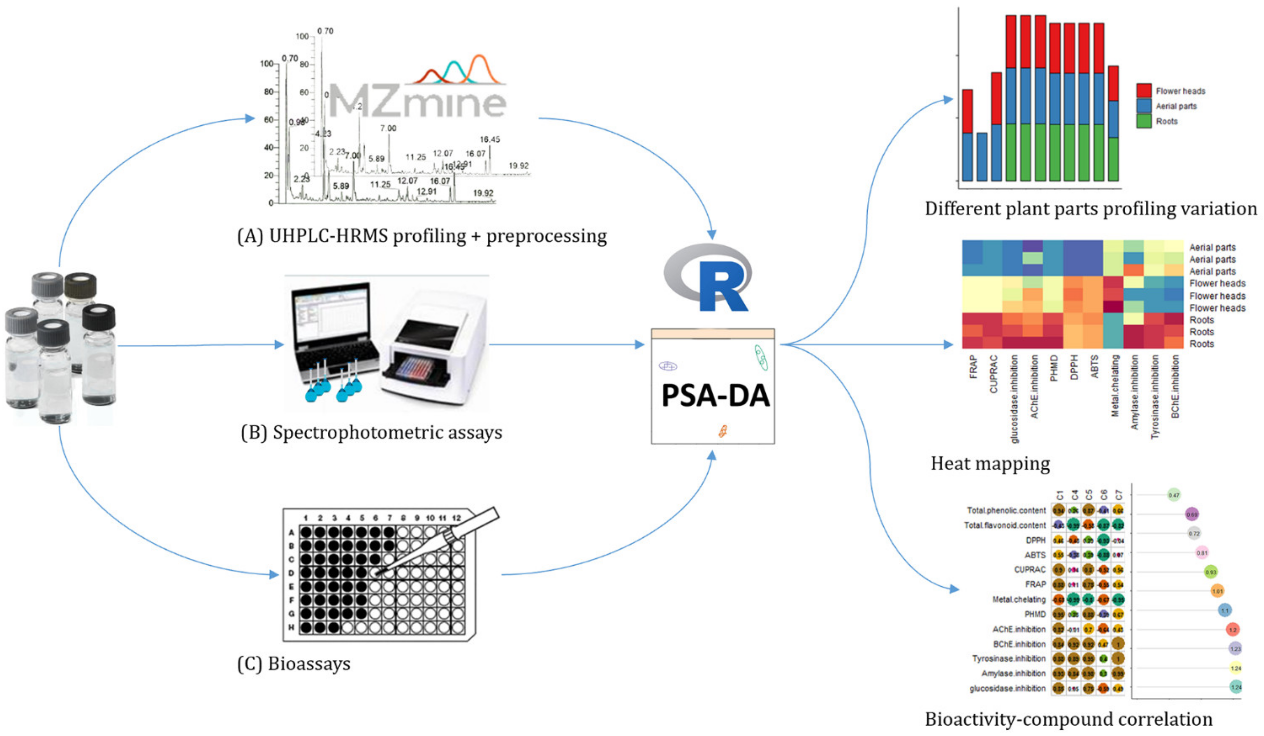 Plants 10 02046 g001