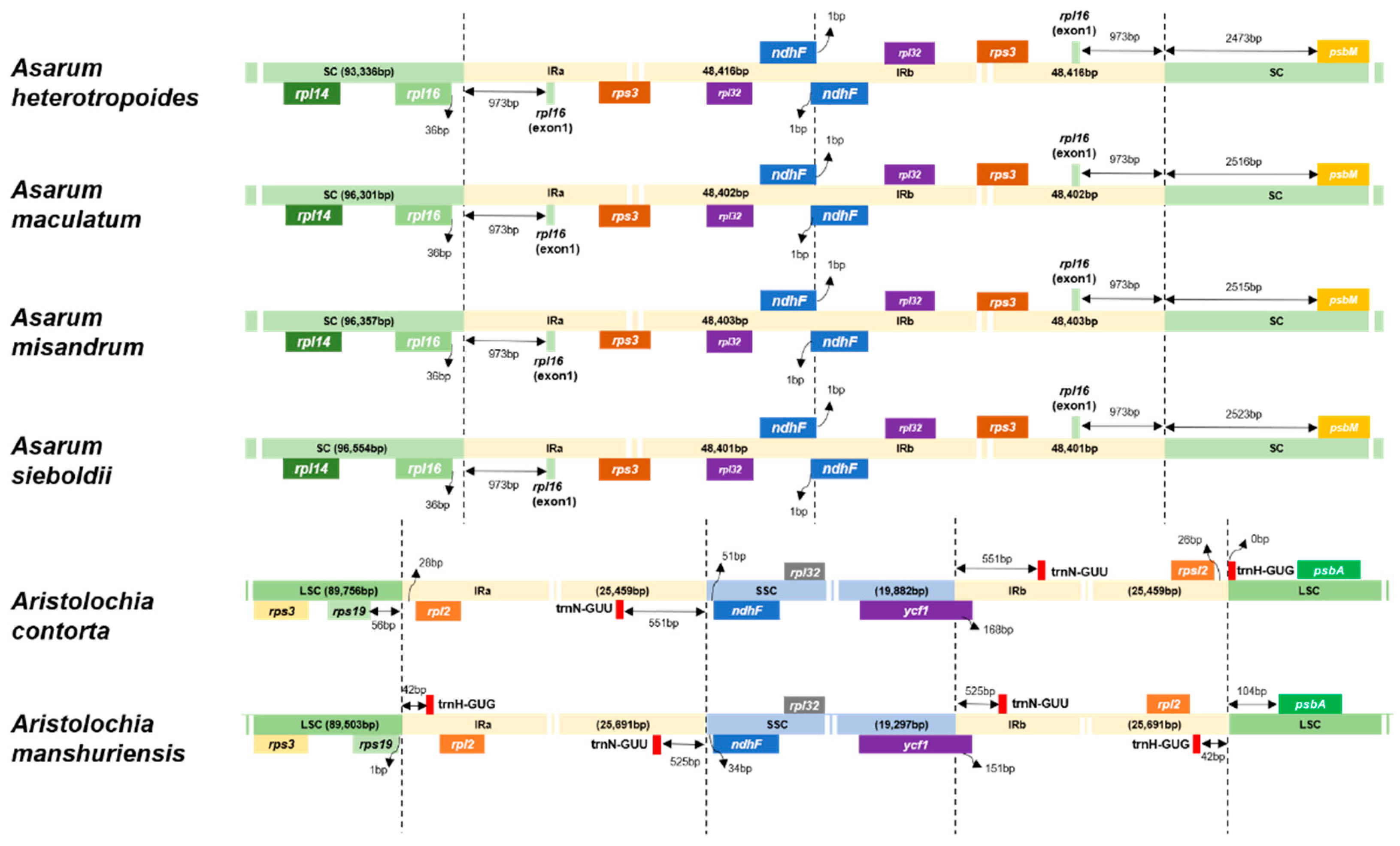 Plants 10 02056 g002 Plants 10 02056 g002