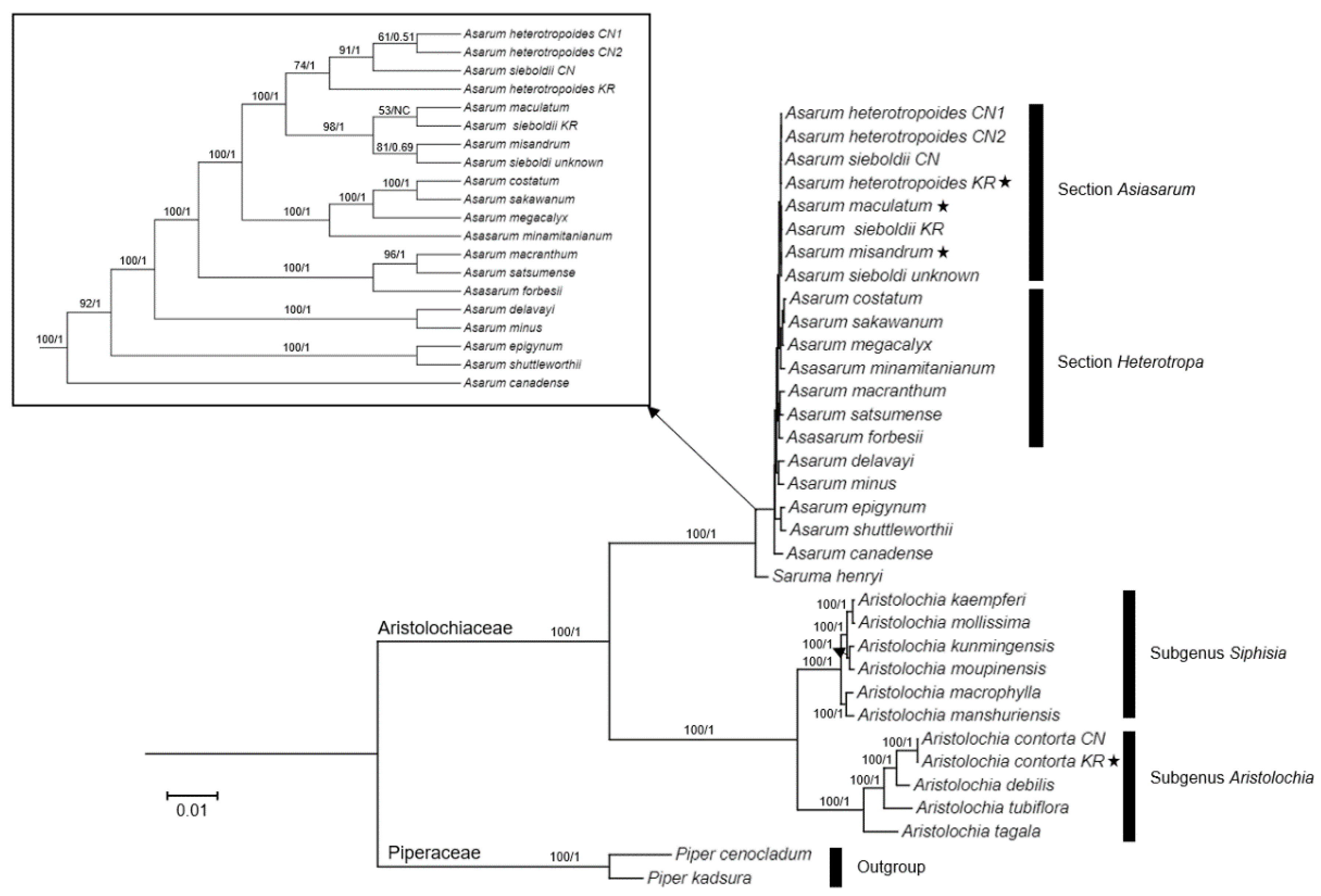 Plants 10 02056 g005 Plants 10 02056 g005
