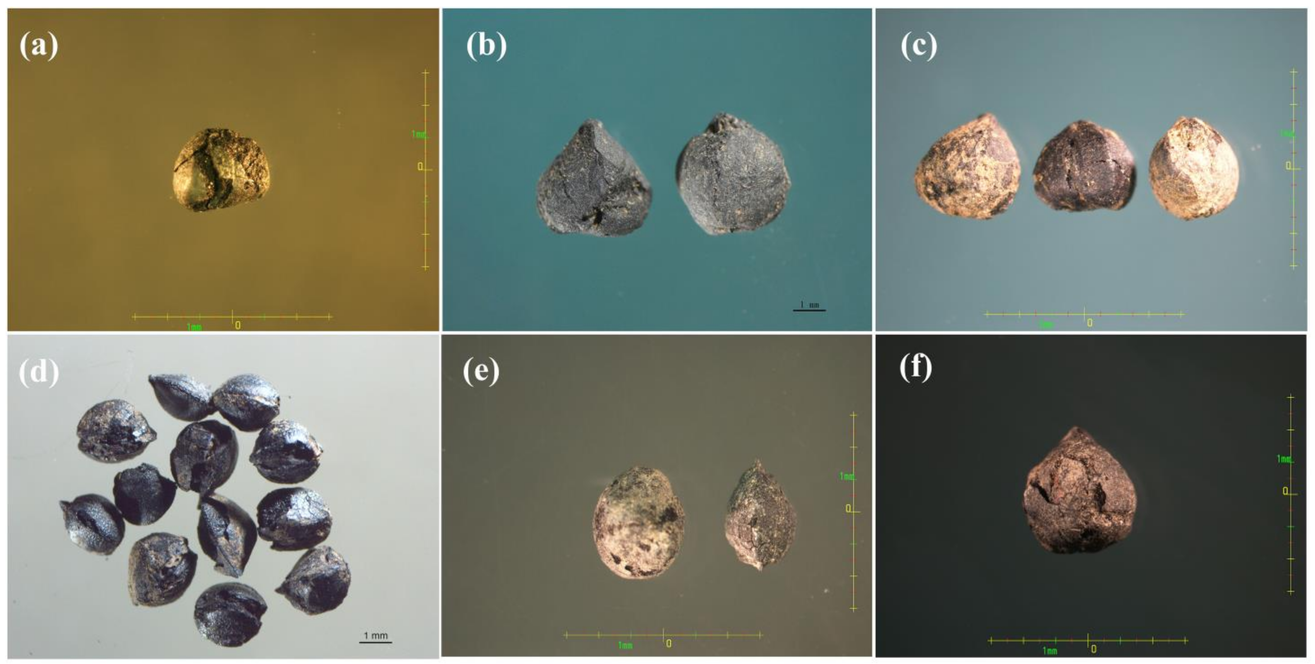 Plants 10 02081 g003