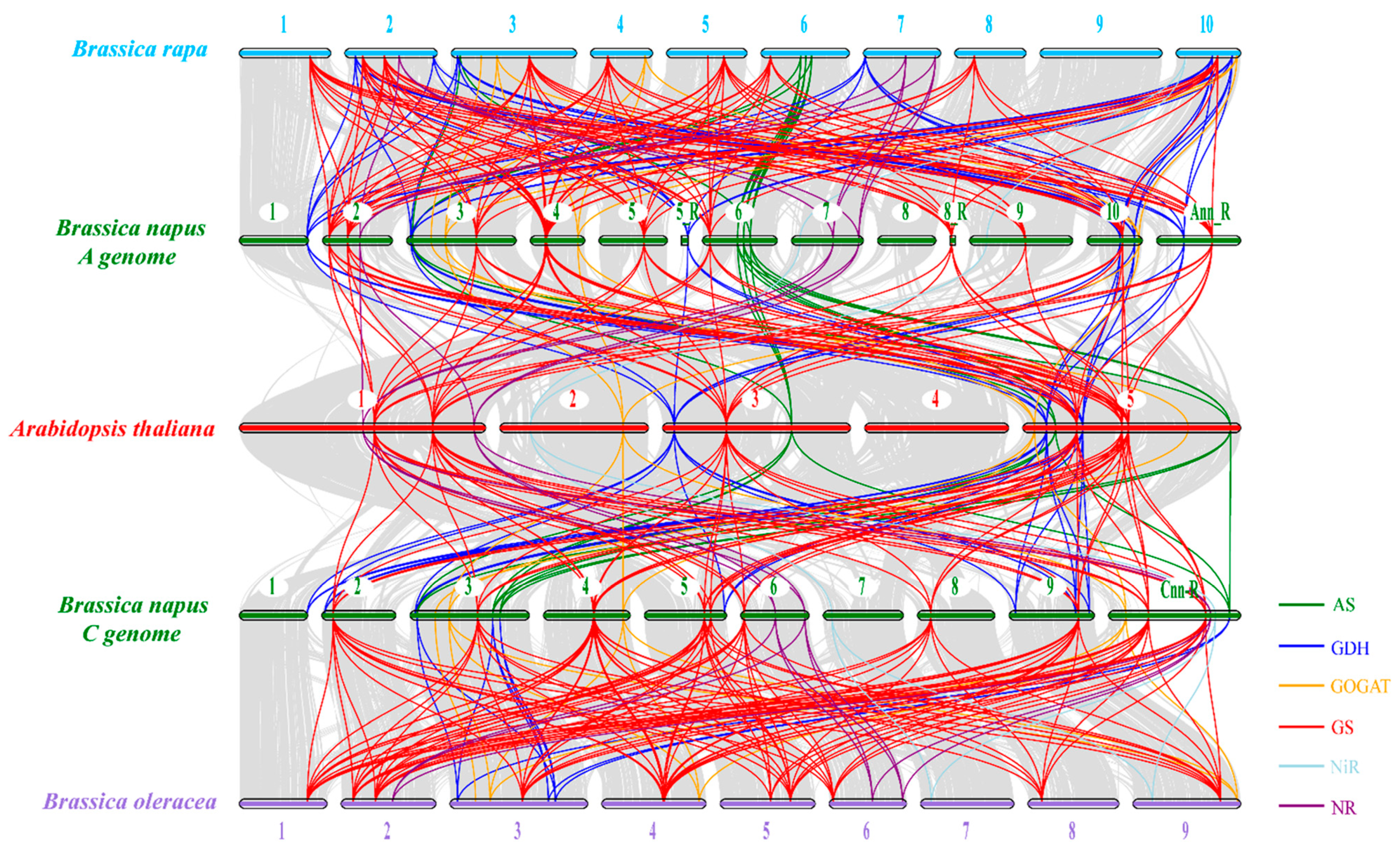 Plants 10 02160 g004