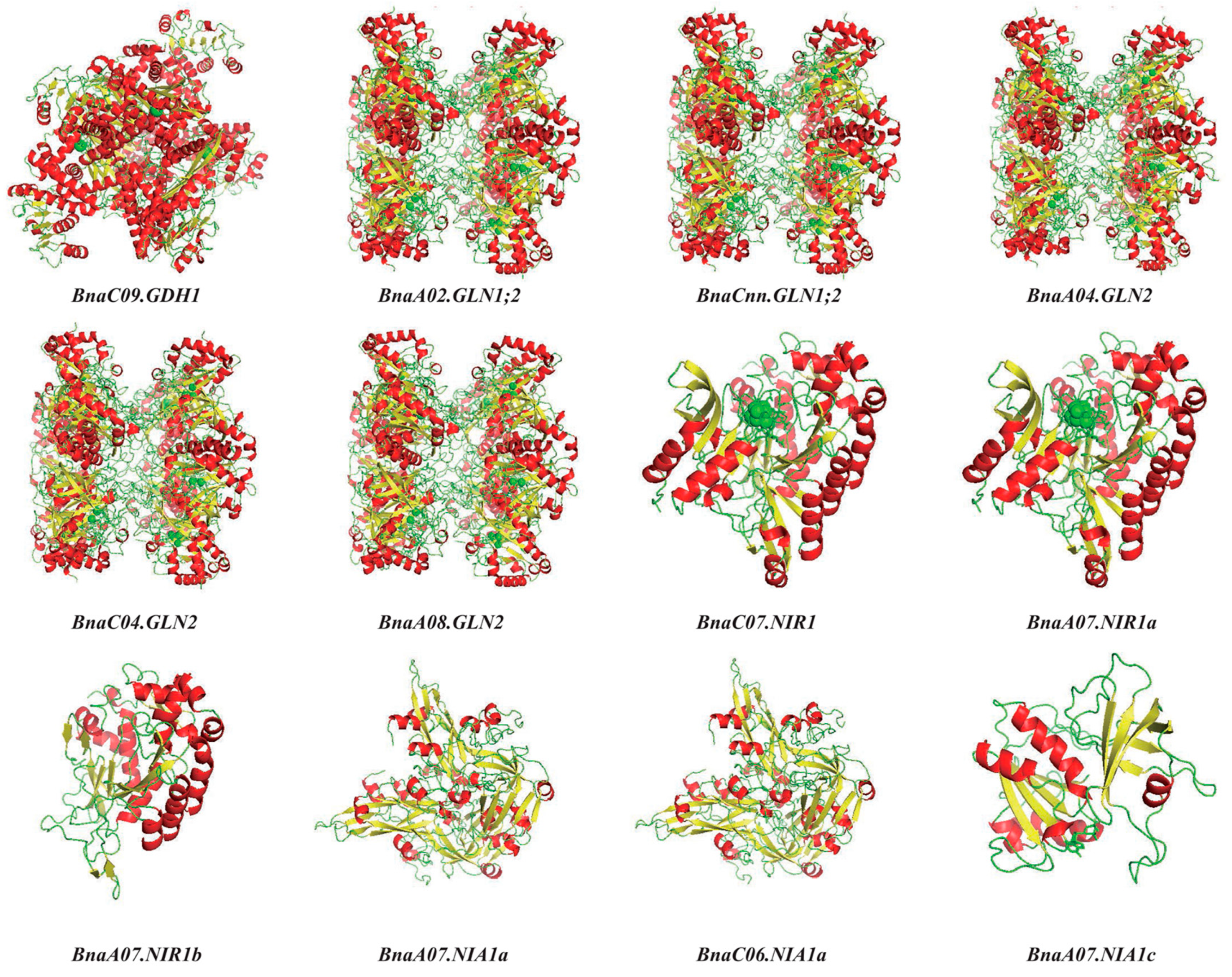 Plants 10 02160 g010