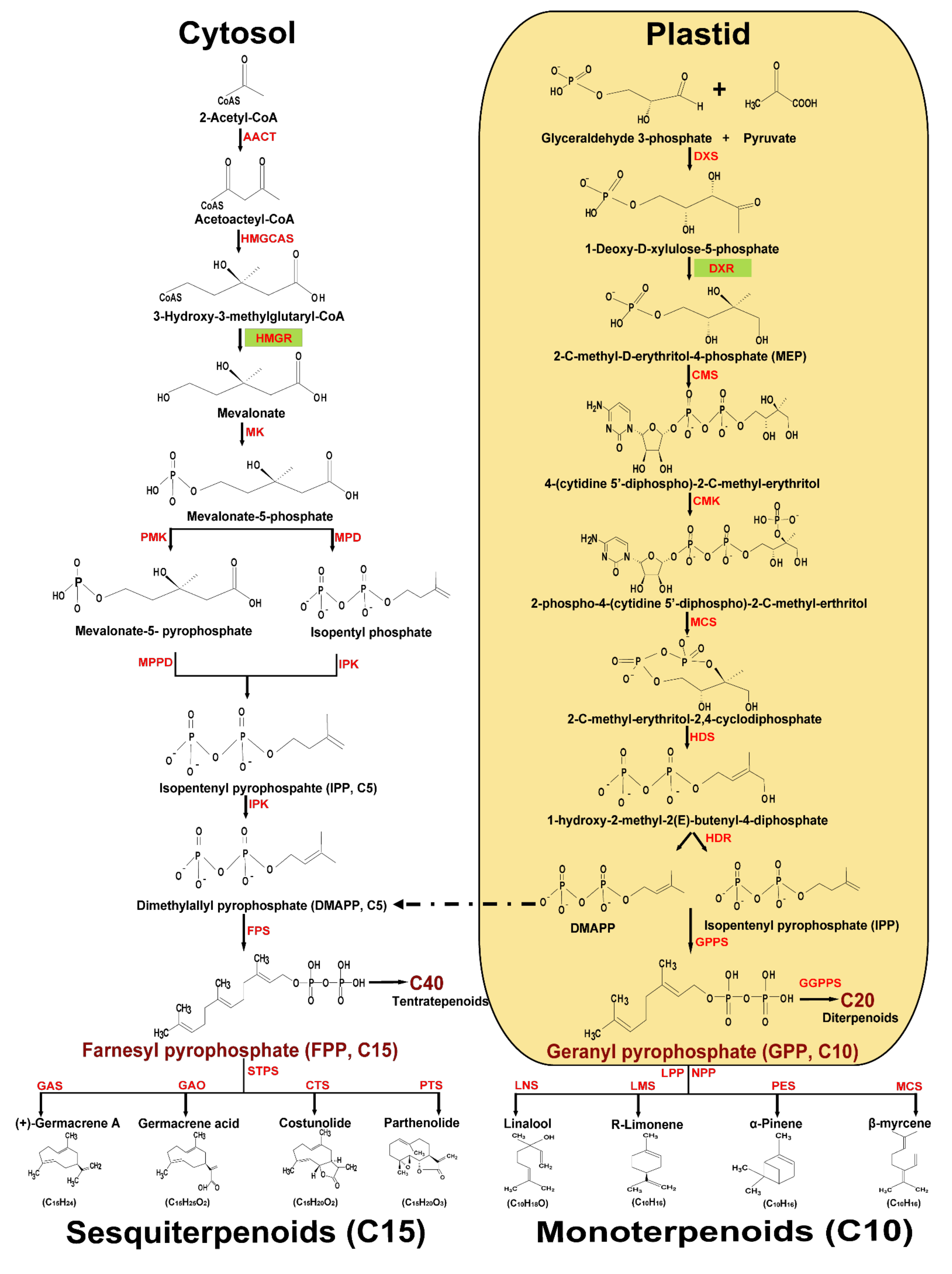 Plants 10 02179 g001