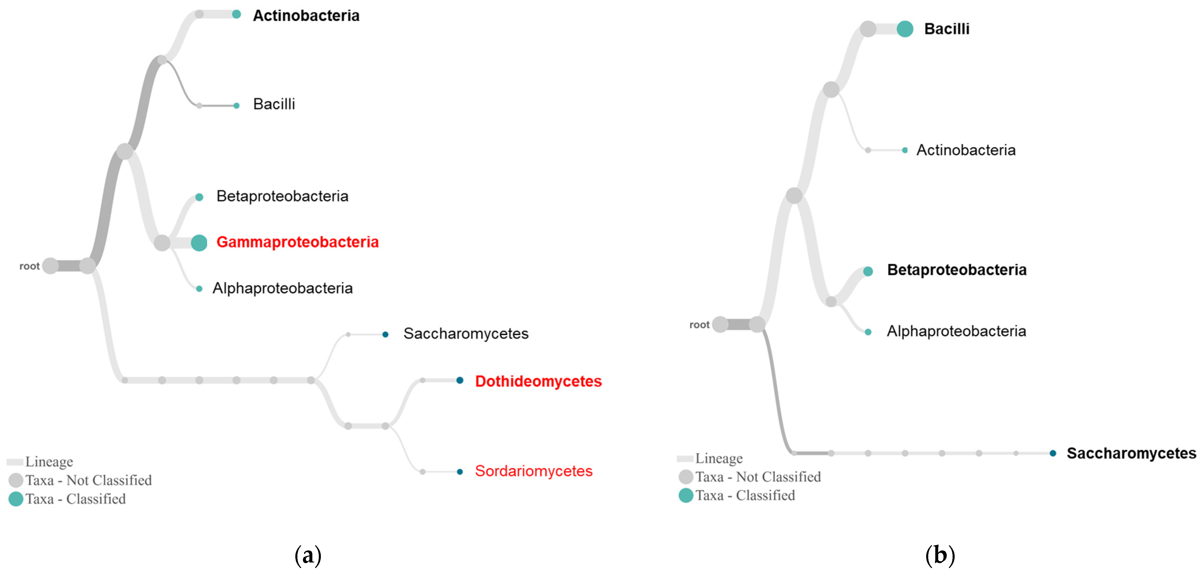 Plants 10 02244 g004