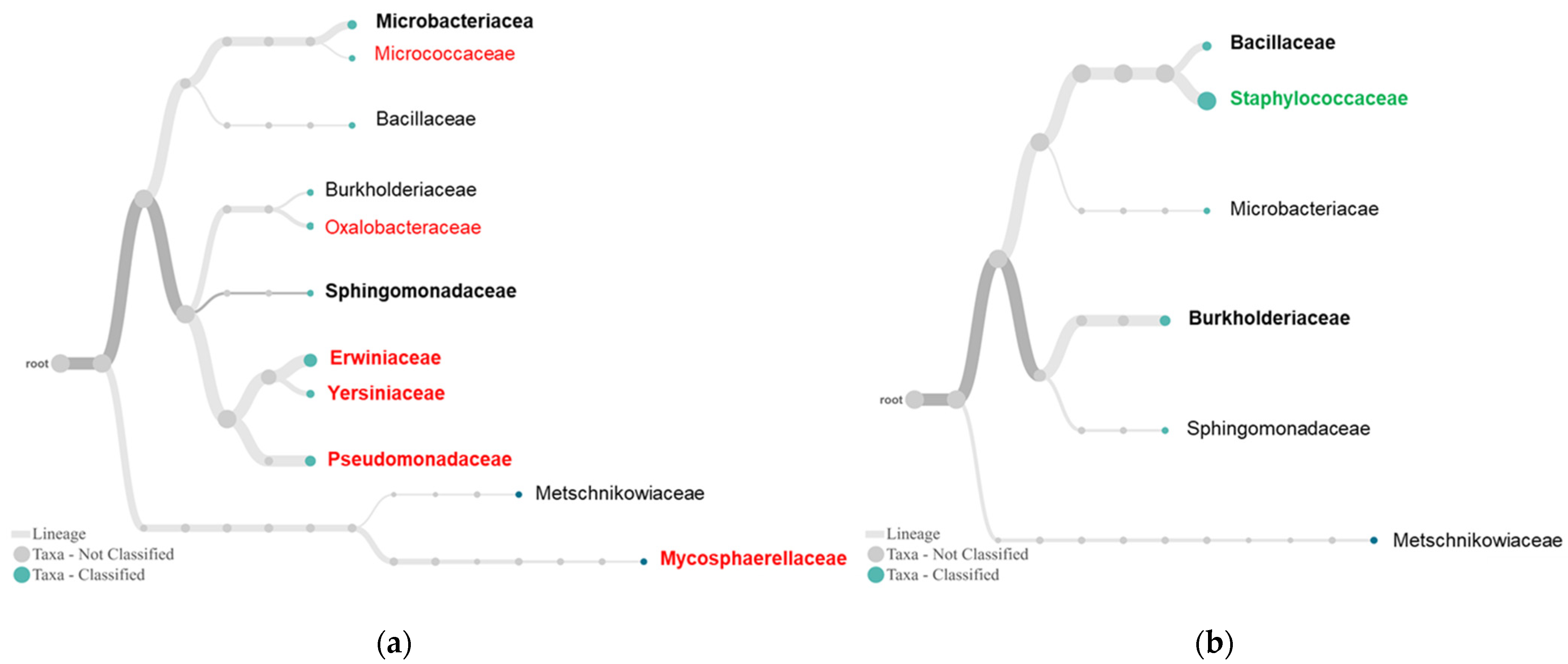 Plants 10 02244 g005