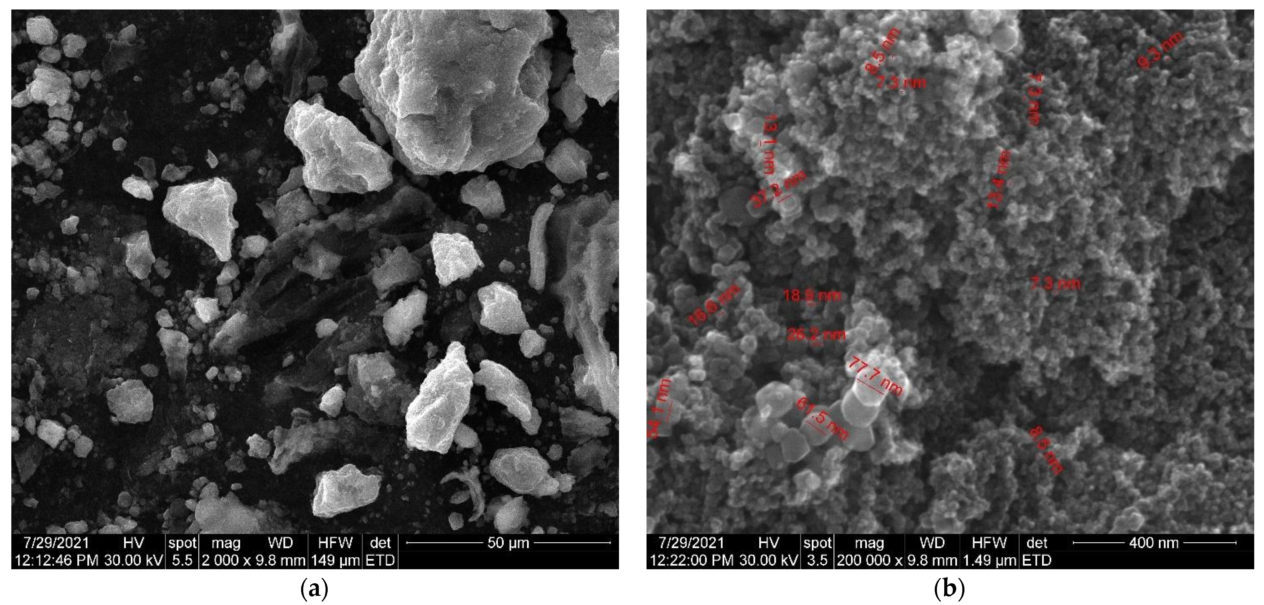 Plants 10 02245 g011