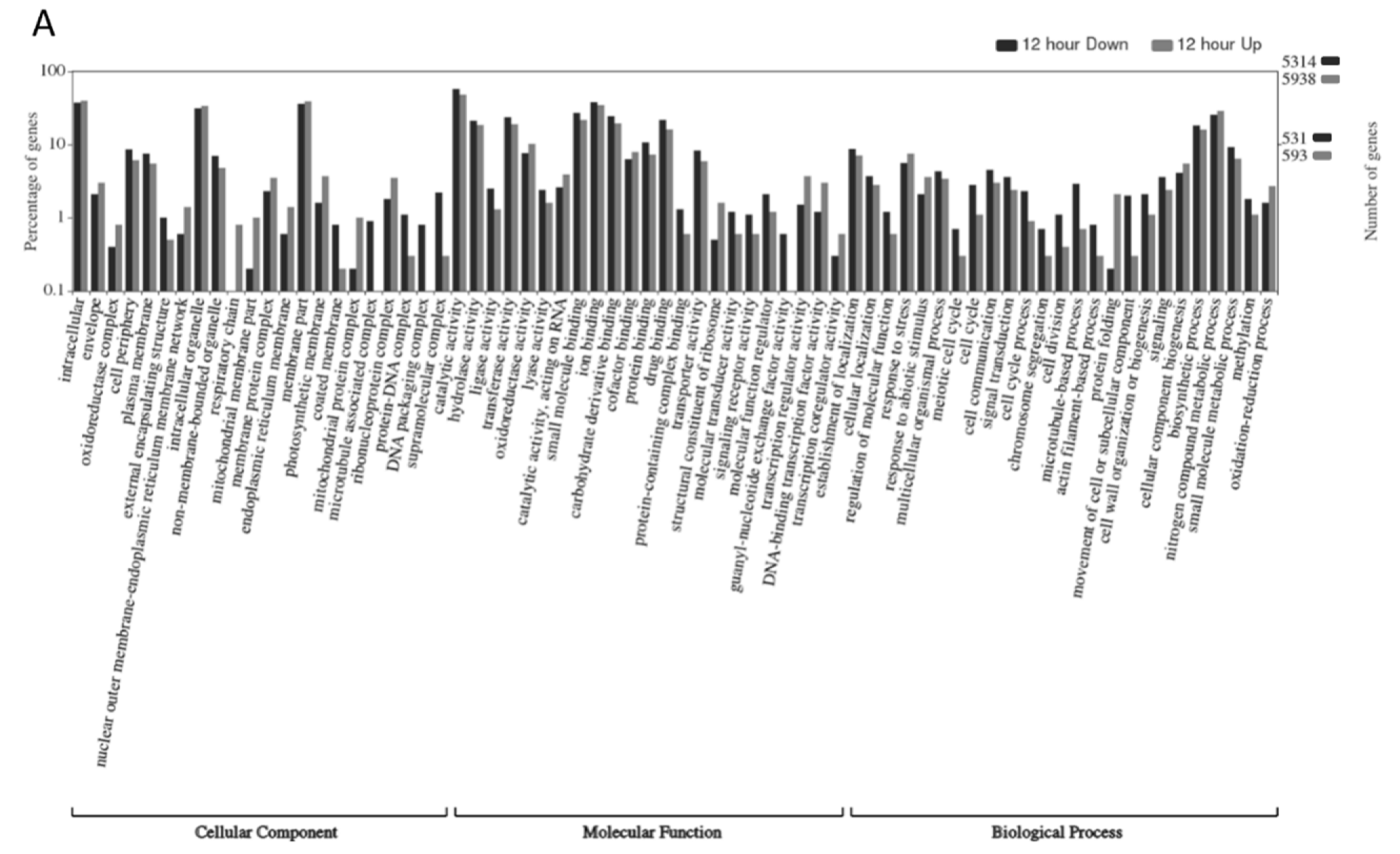 Plants 10 02247 g004a