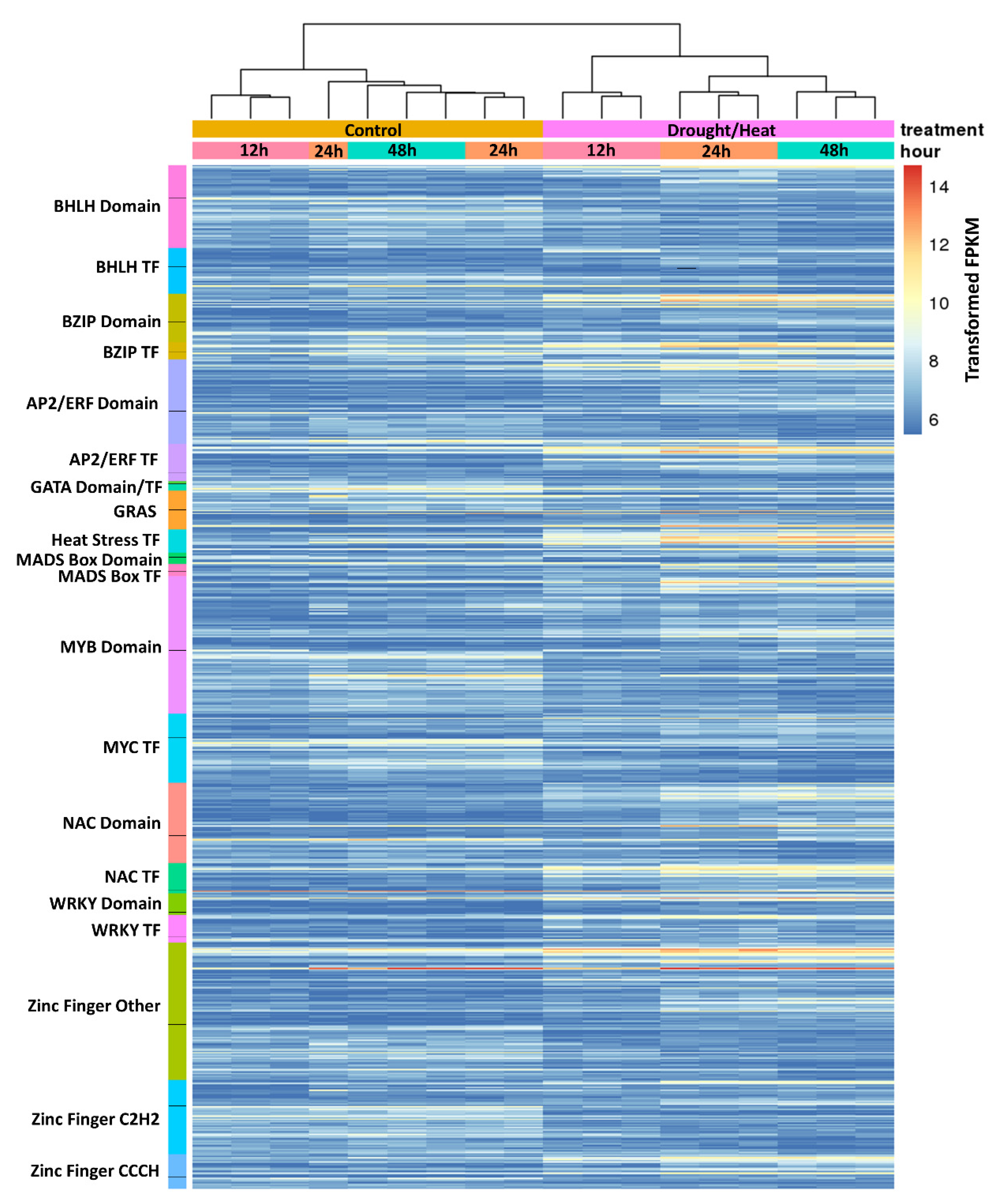 Plants 10 02247 g005