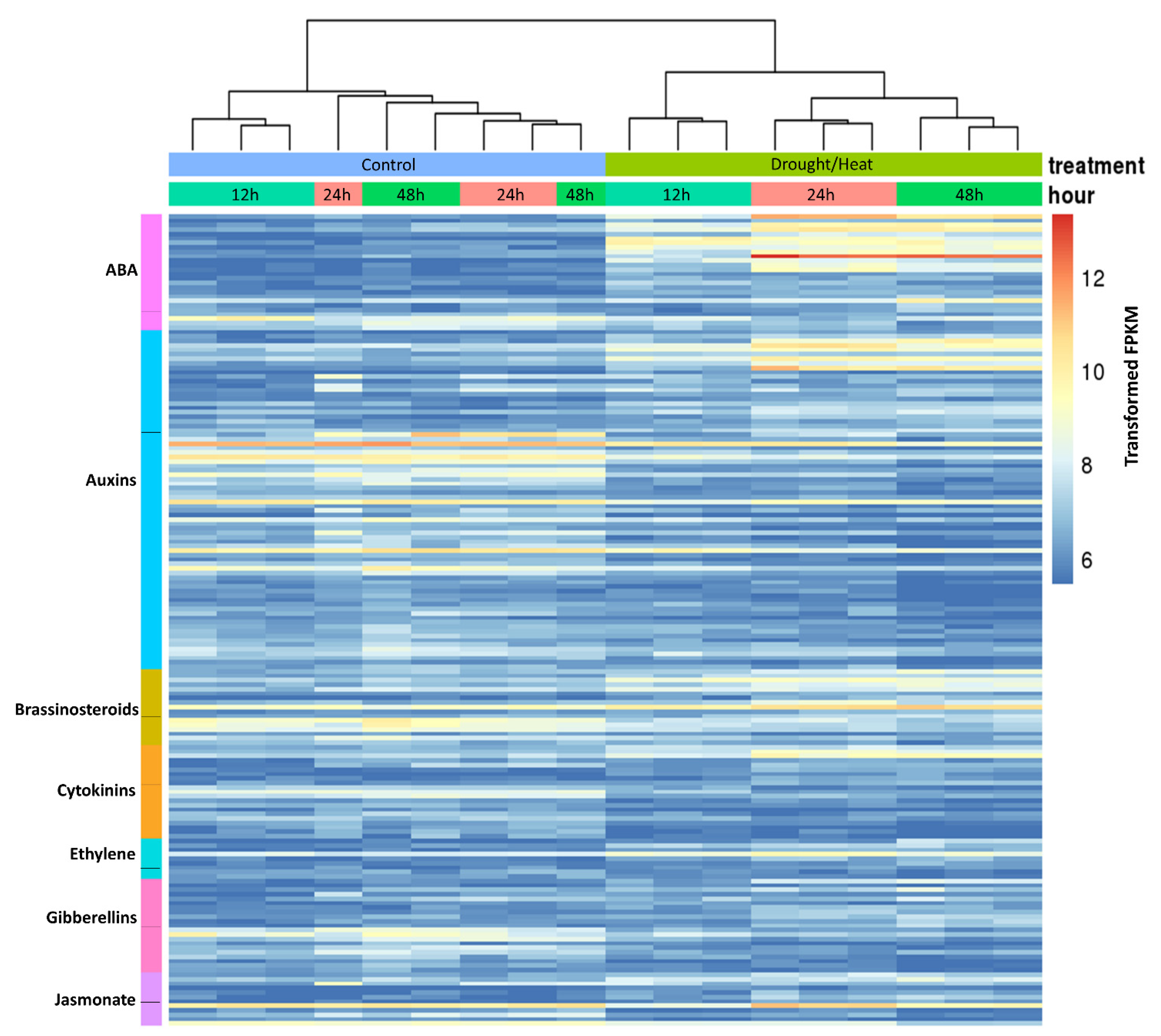 Plants 10 02247 g006