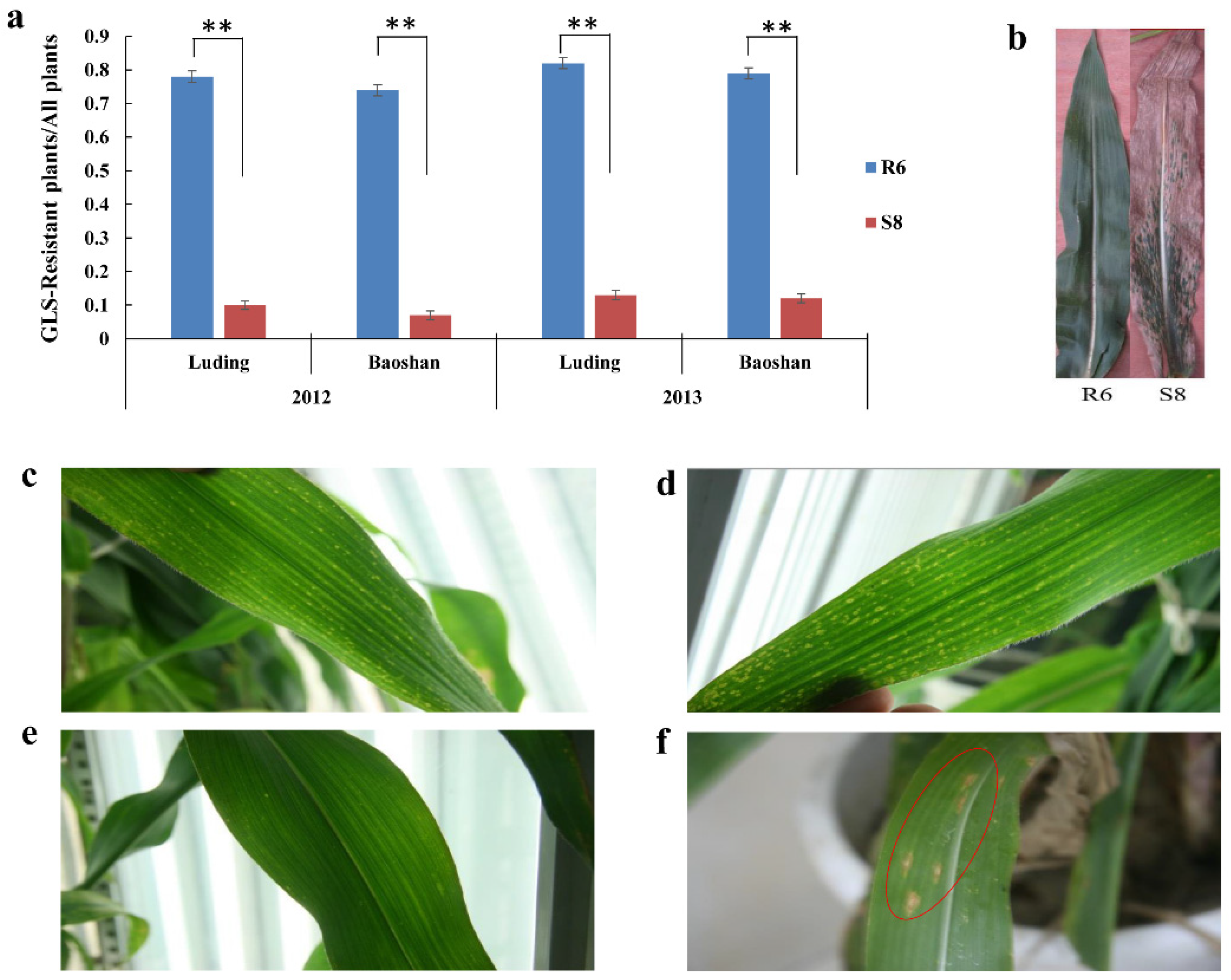 Plants 10 02257 g001