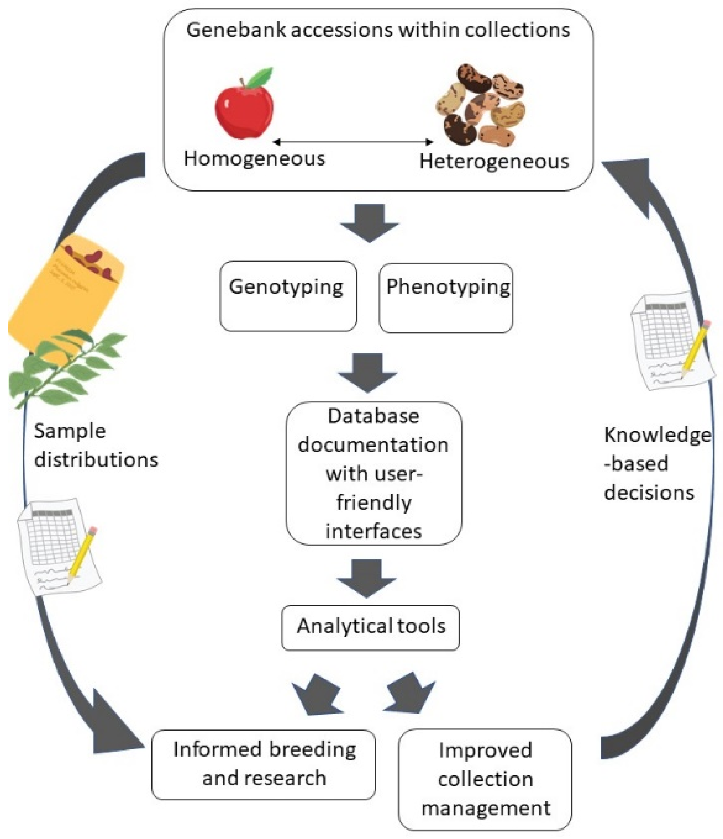 Plants | Free Full-Text | Integrating Genomic and Phenomic Approaches to  Support Plant Genetic Resources Conservation and Use | HTML