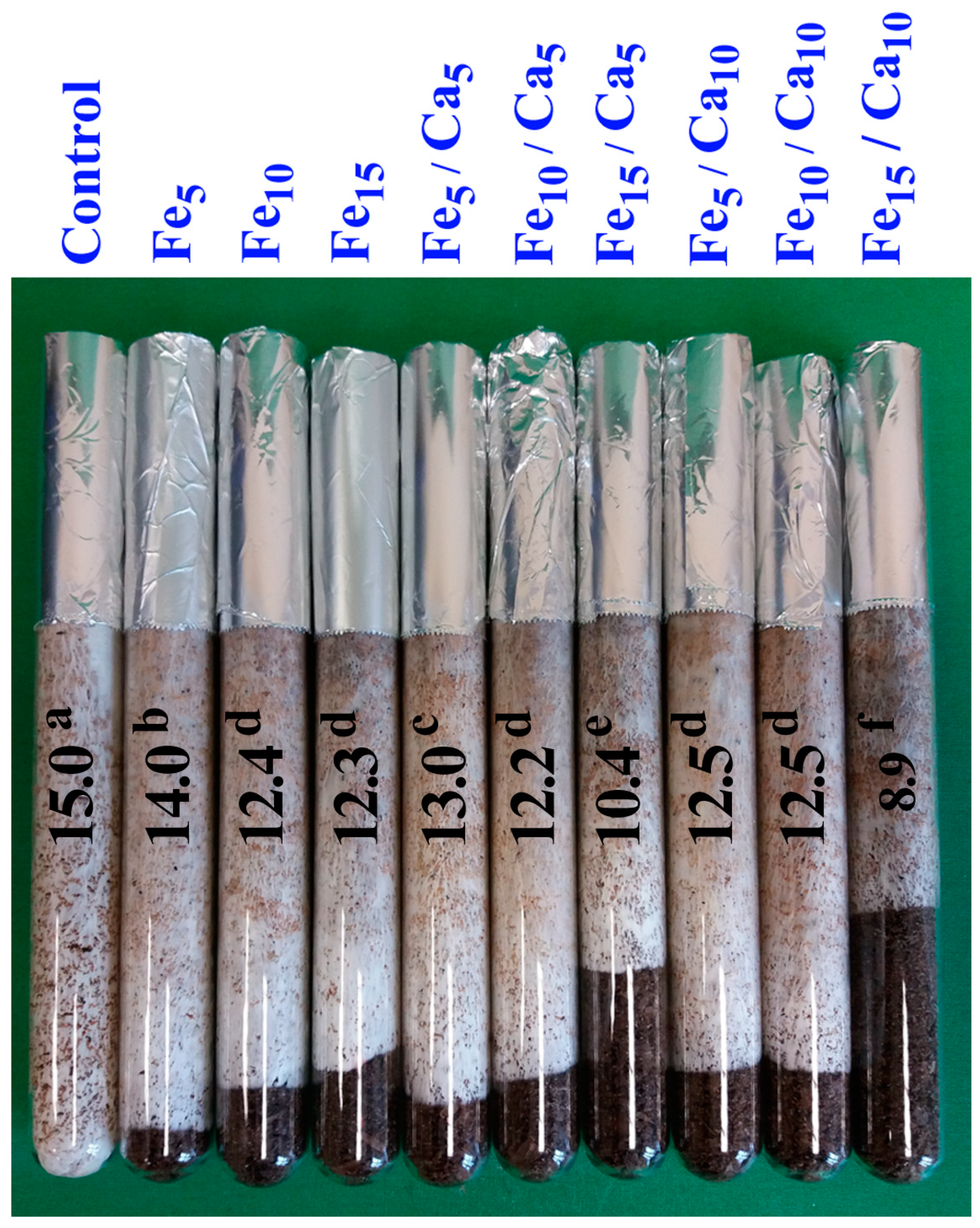 Plants 10 02275 g001