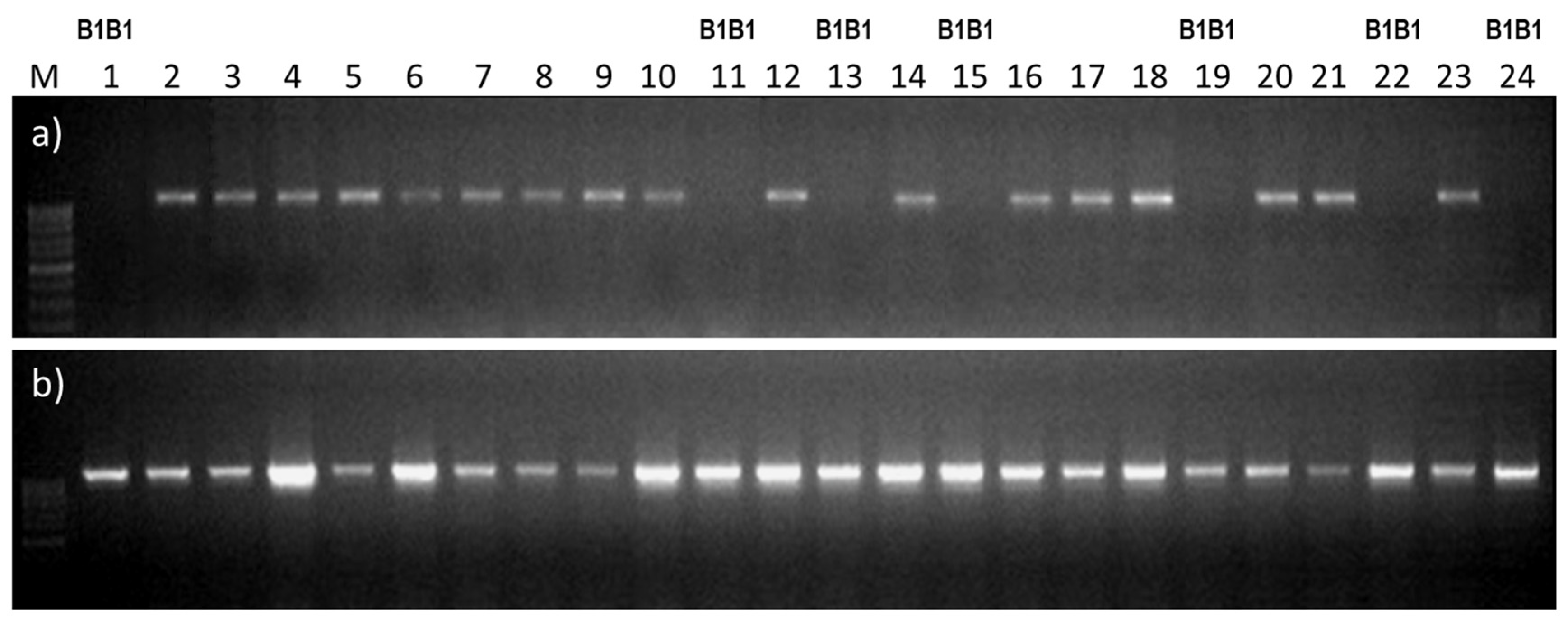 Plants 10 02285 g004