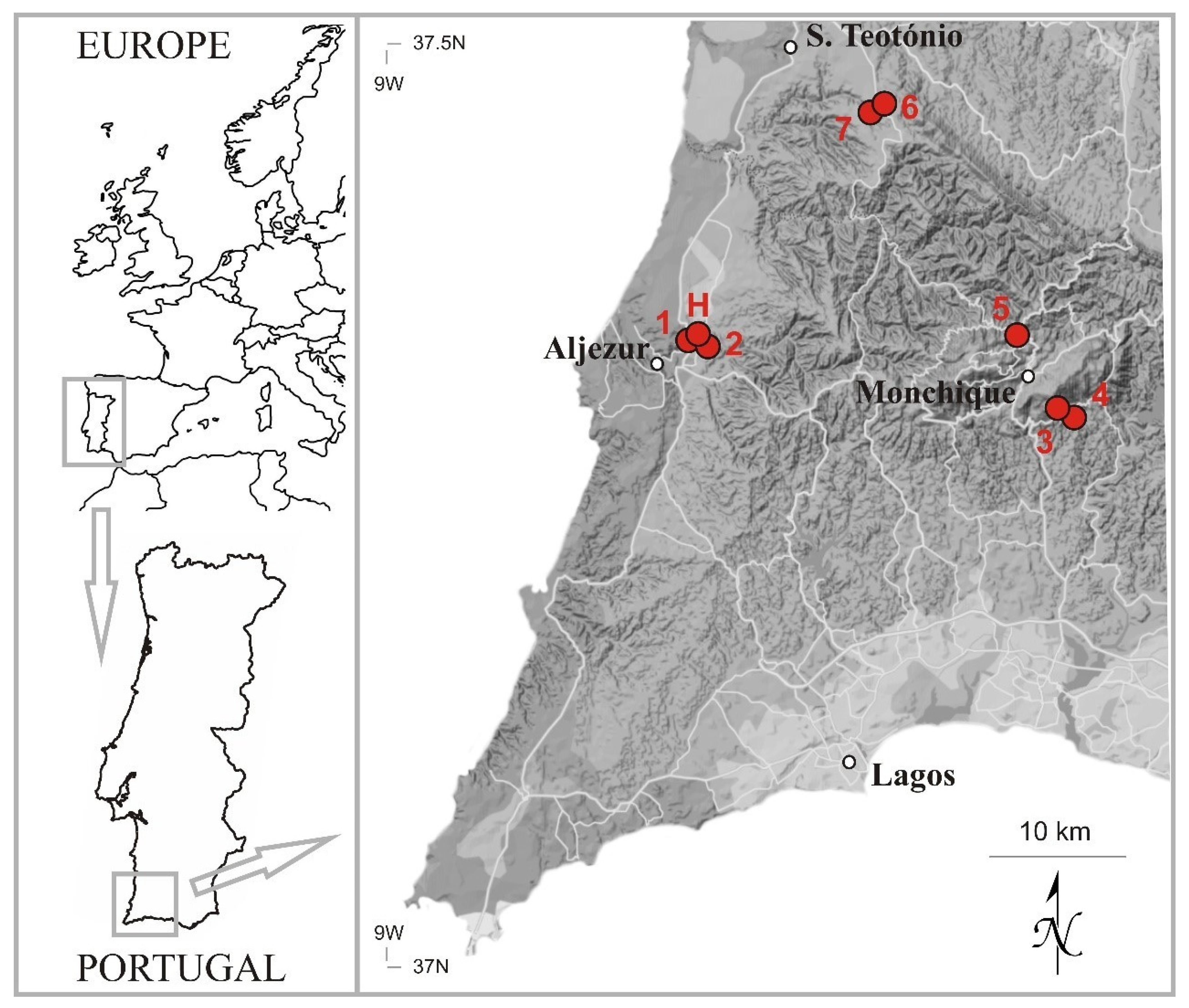 Plants | Free Full-Text | Undiscovered Biodiversity of the European Moss  Flora: Neodicranella hamulosa (Aongstroemiaceae), a New Genus and Species  from SW Portugal
