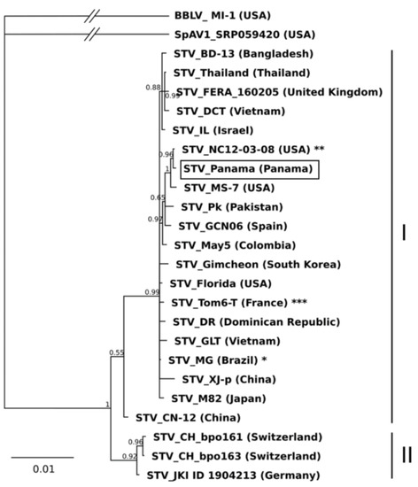 Plants | Free Full-Text | Detection of Persistent Viruses by  High-Throughput Sequencing in Tomato and Pepper from Panama: Phylogenetic  and Evolutionary Studies