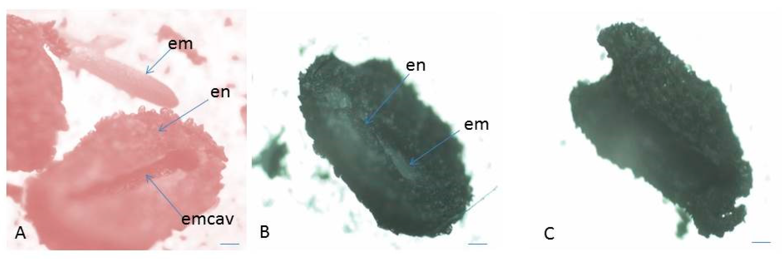 Plants 10 02296 g006 Plants 10 02296 g006