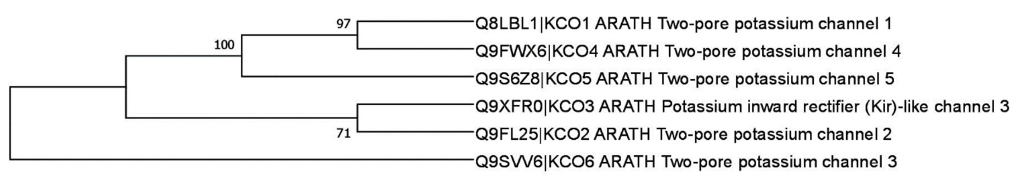 Plants 10 02328 g002