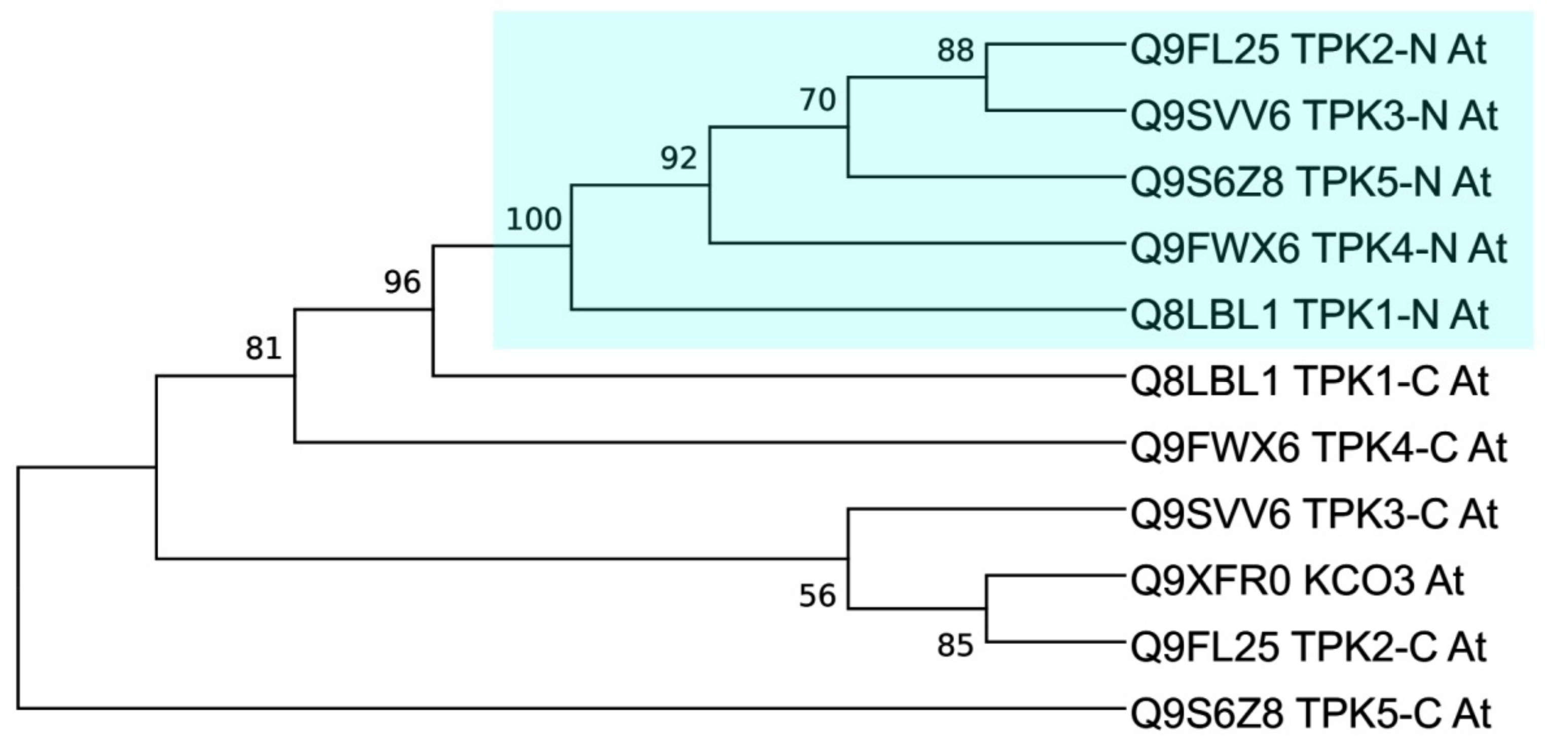 Plants 10 02328 g003