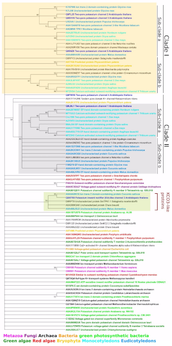 Plants 10 02328 g004