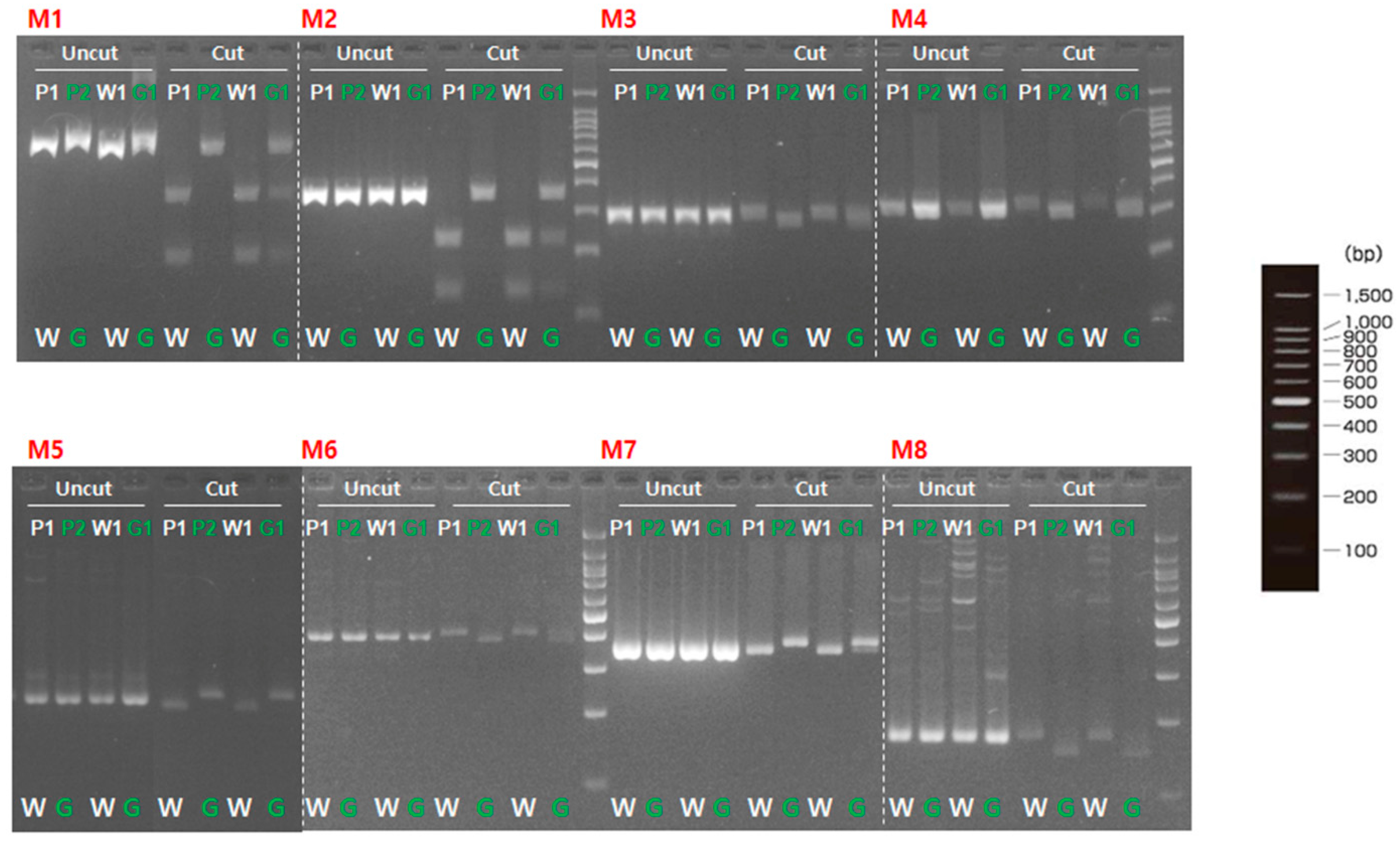 Plants 10 02341 g003