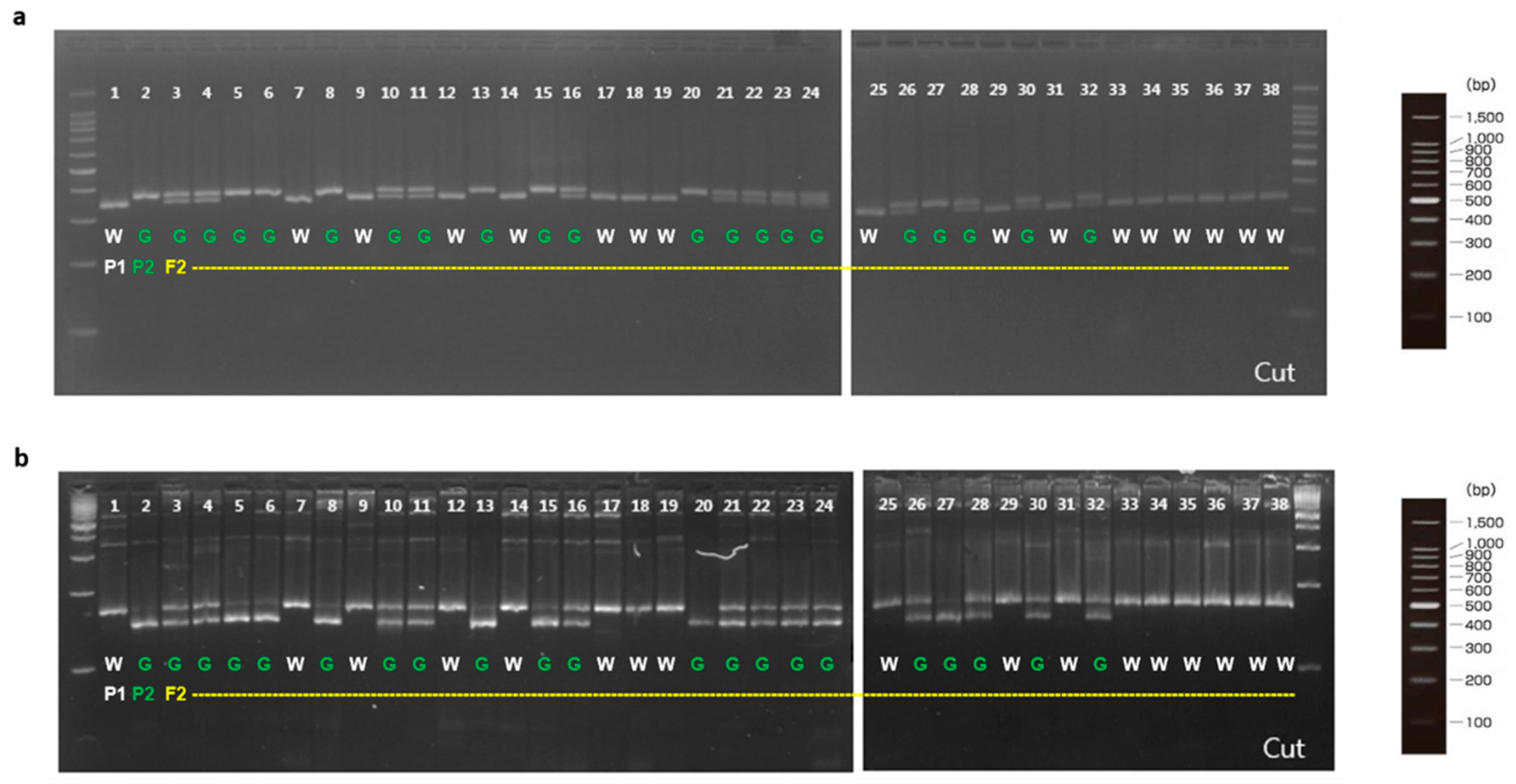 Plants 10 02341 g004