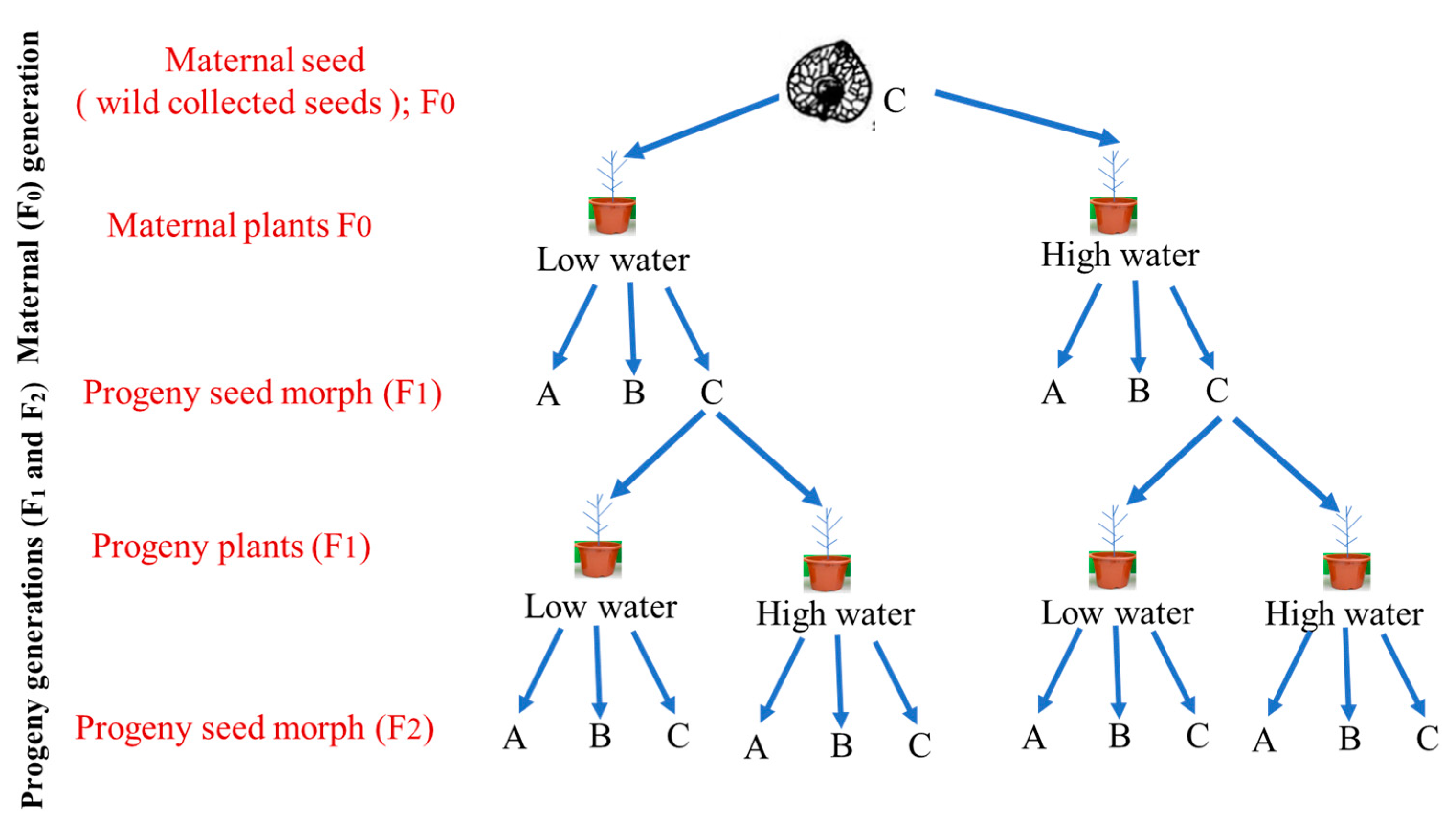 Plants 10 02362 g007