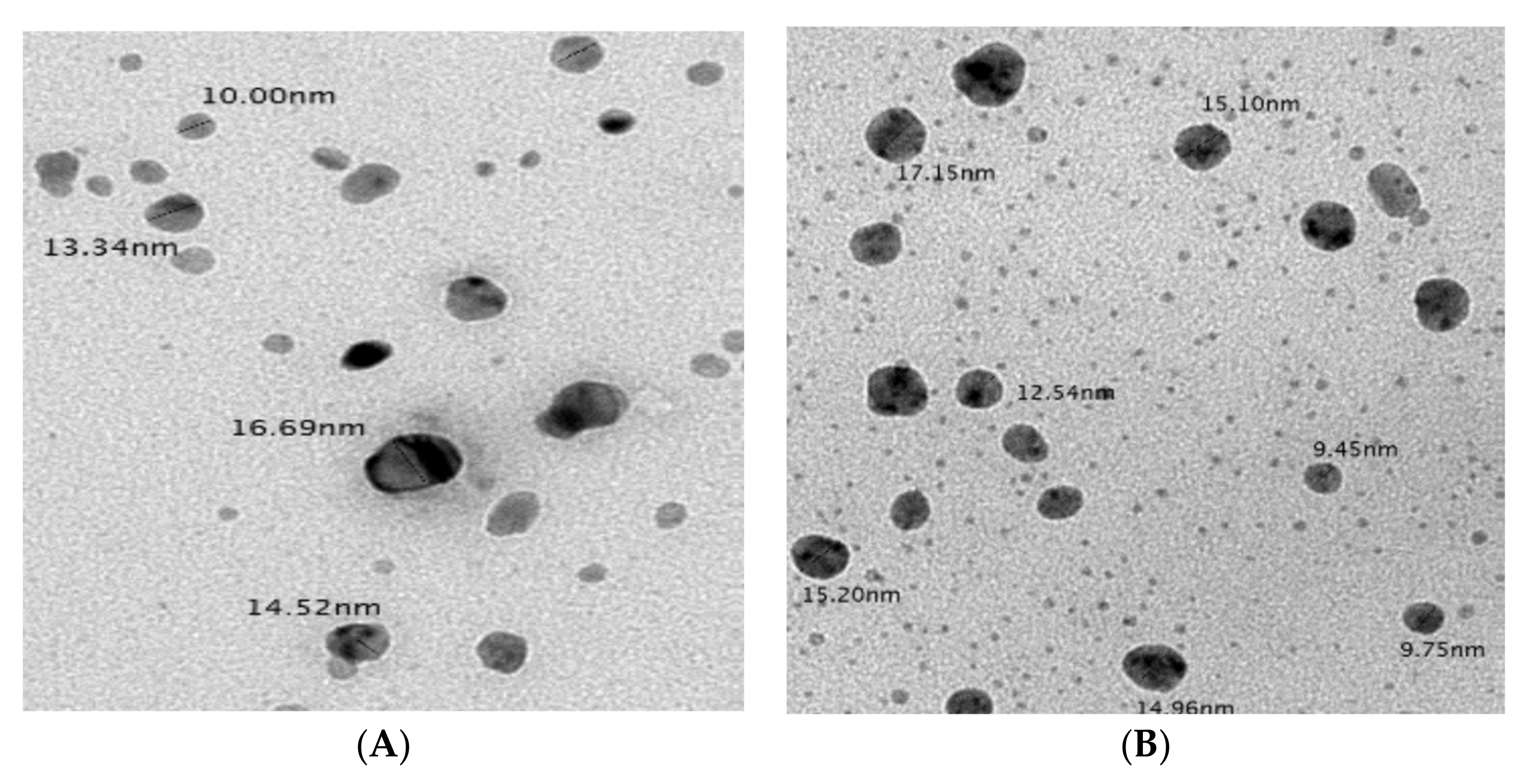 Plants 10 02363 g008