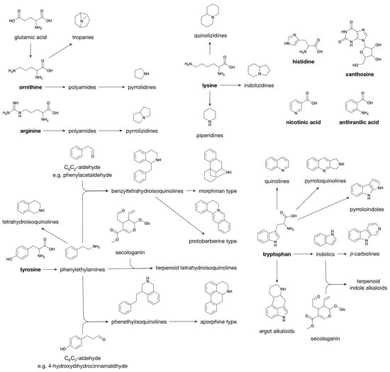 Plants Free Full Text Origin and Function of Structural