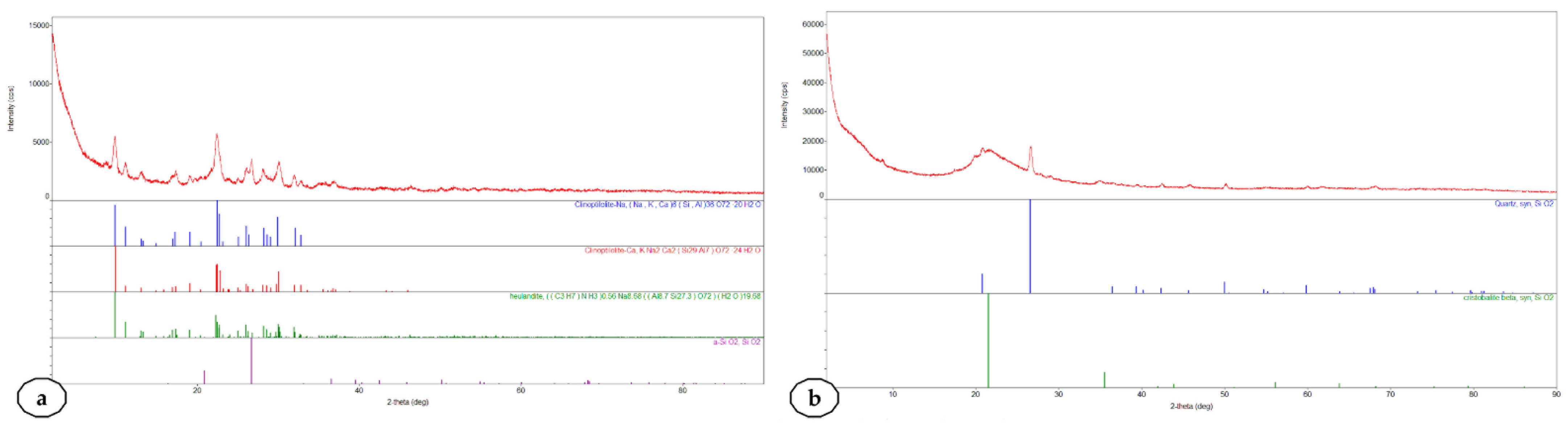 Plants 10 02395 g002