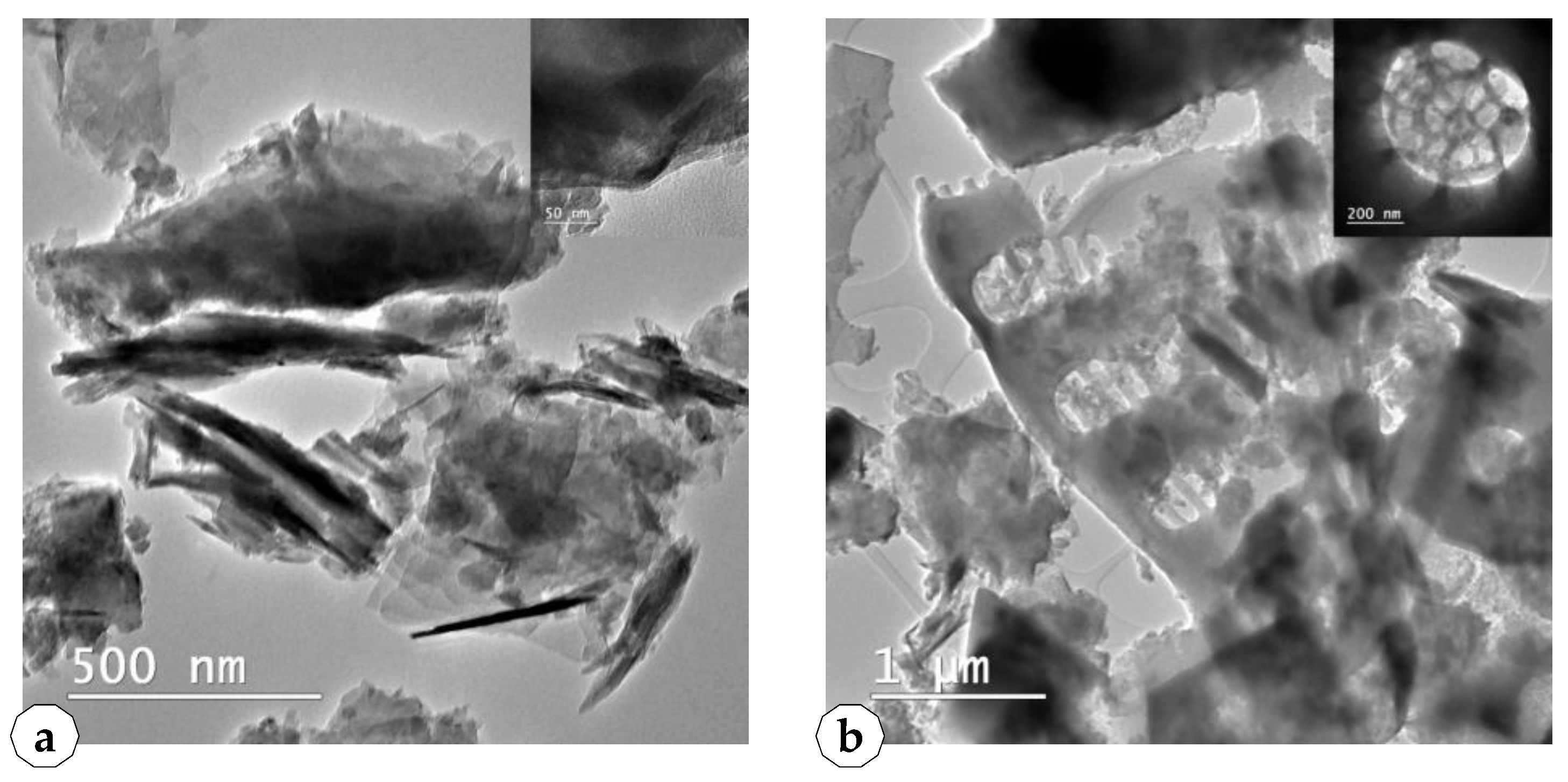 Plants 10 02395 g005