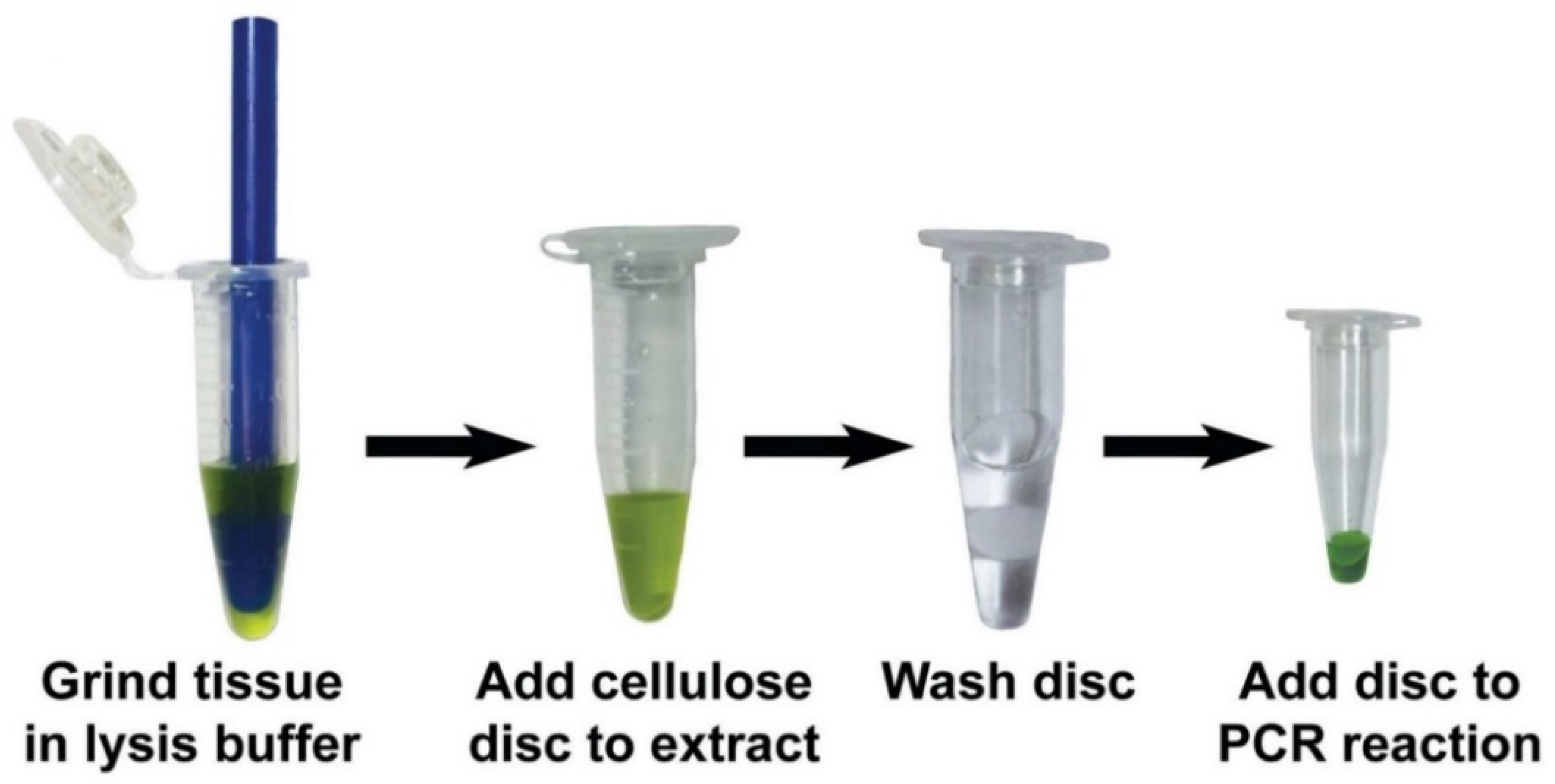 Plants 10 02424 g002 Plants 10 02424 g002